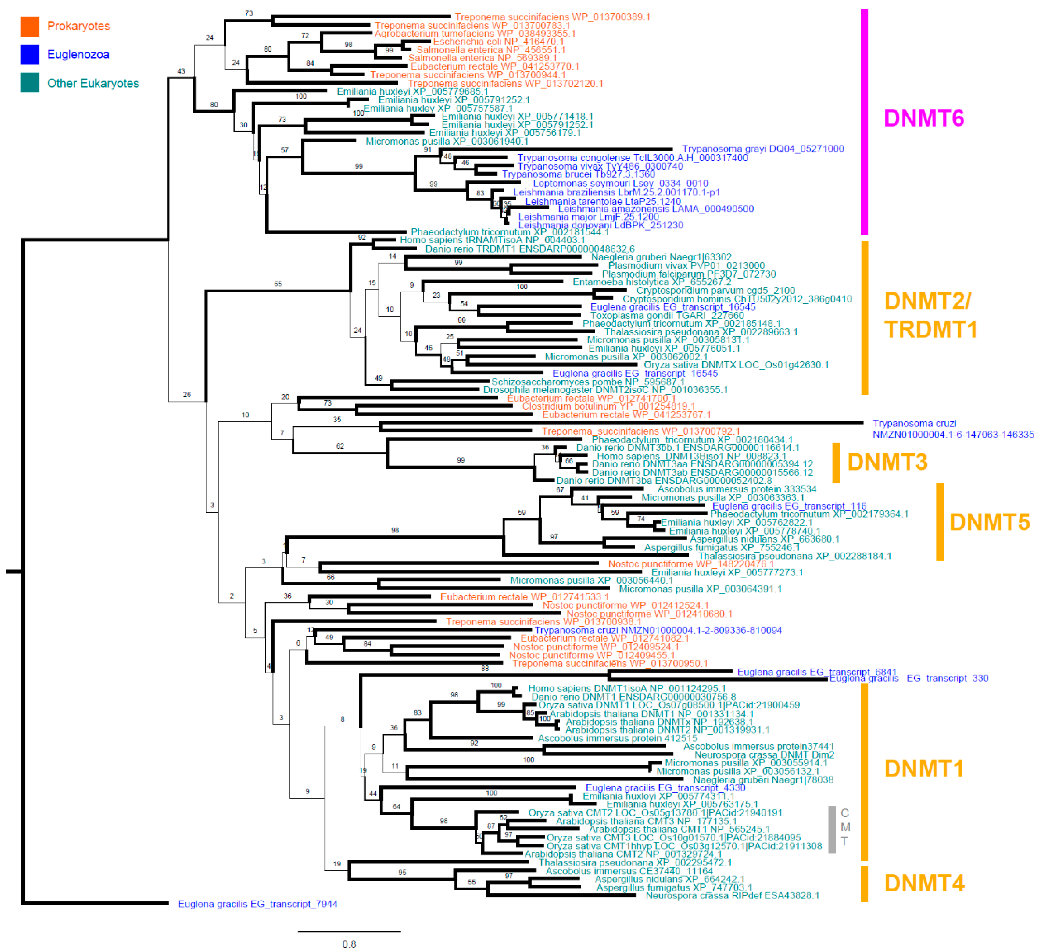 Microorganisms 08 01252 g002