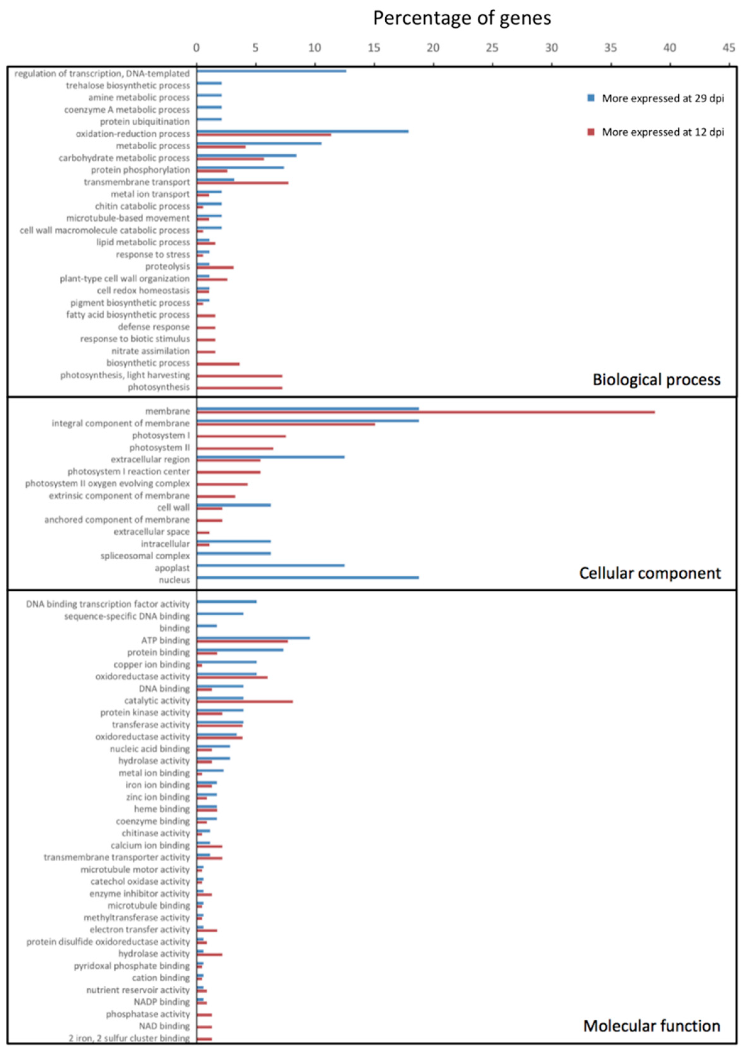 Microorganisms 08 01253 g004