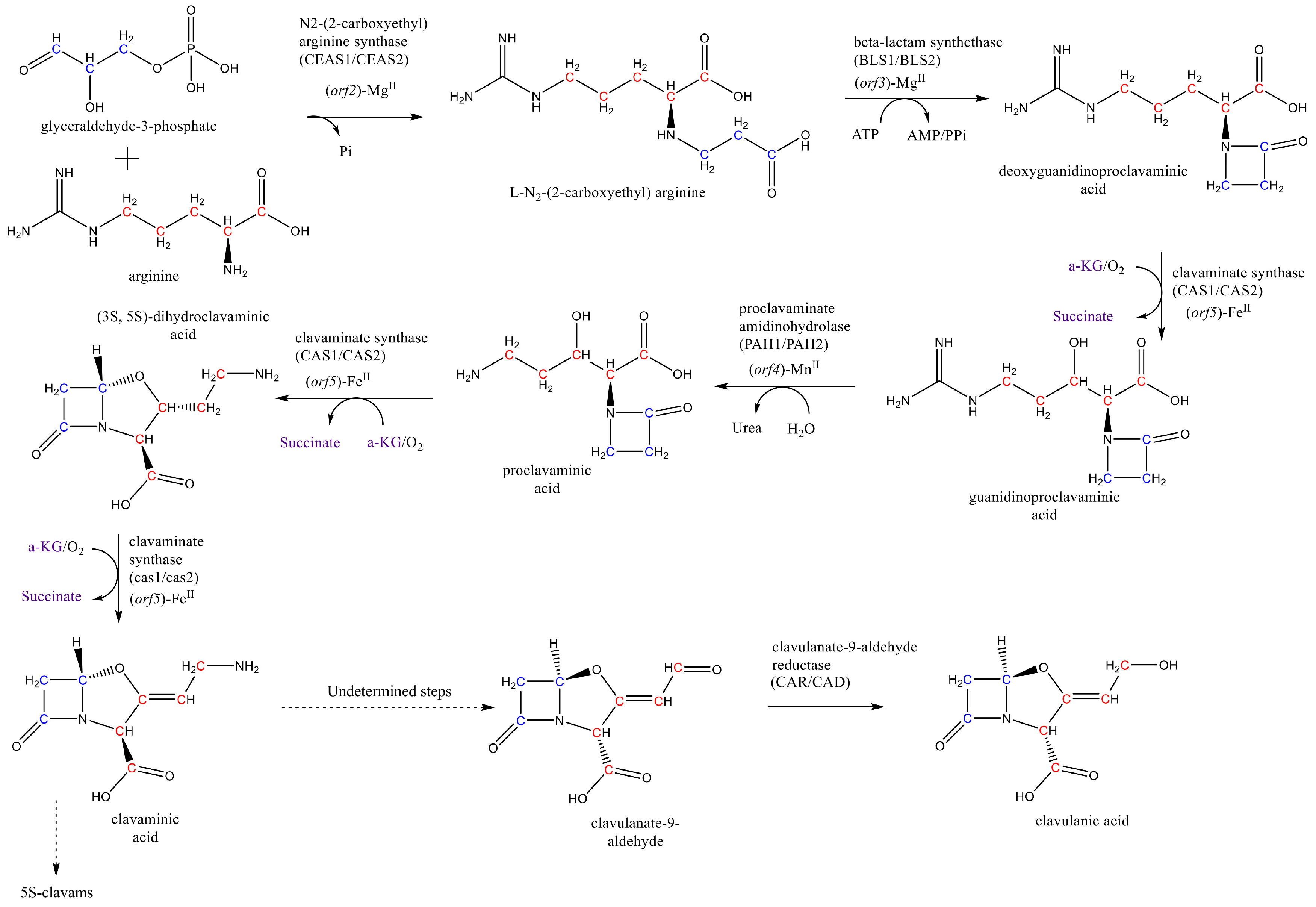 Microorganisms 08 01255 g001 Microorganisms 08 01255 g001