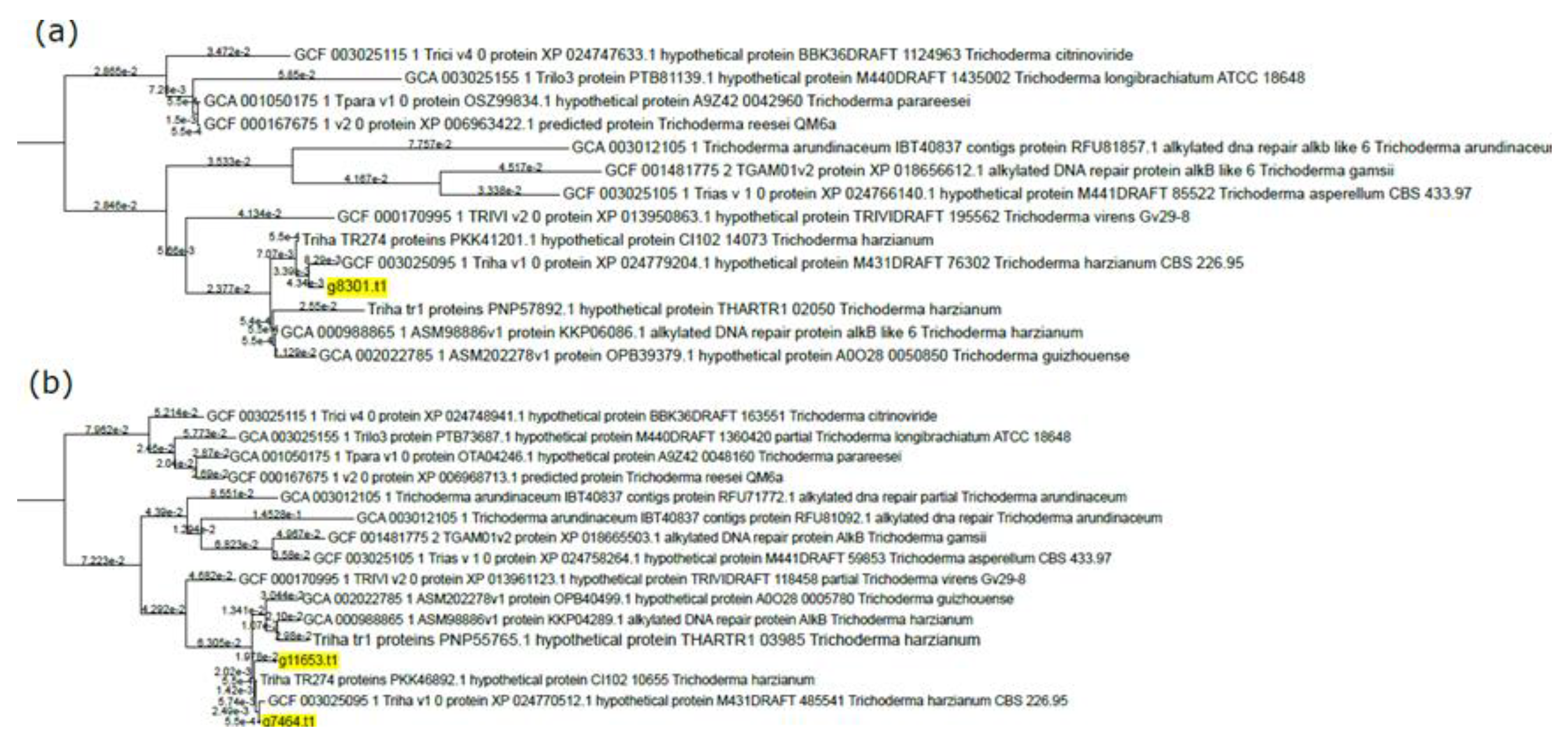 Microorganisms 08 01258 g002