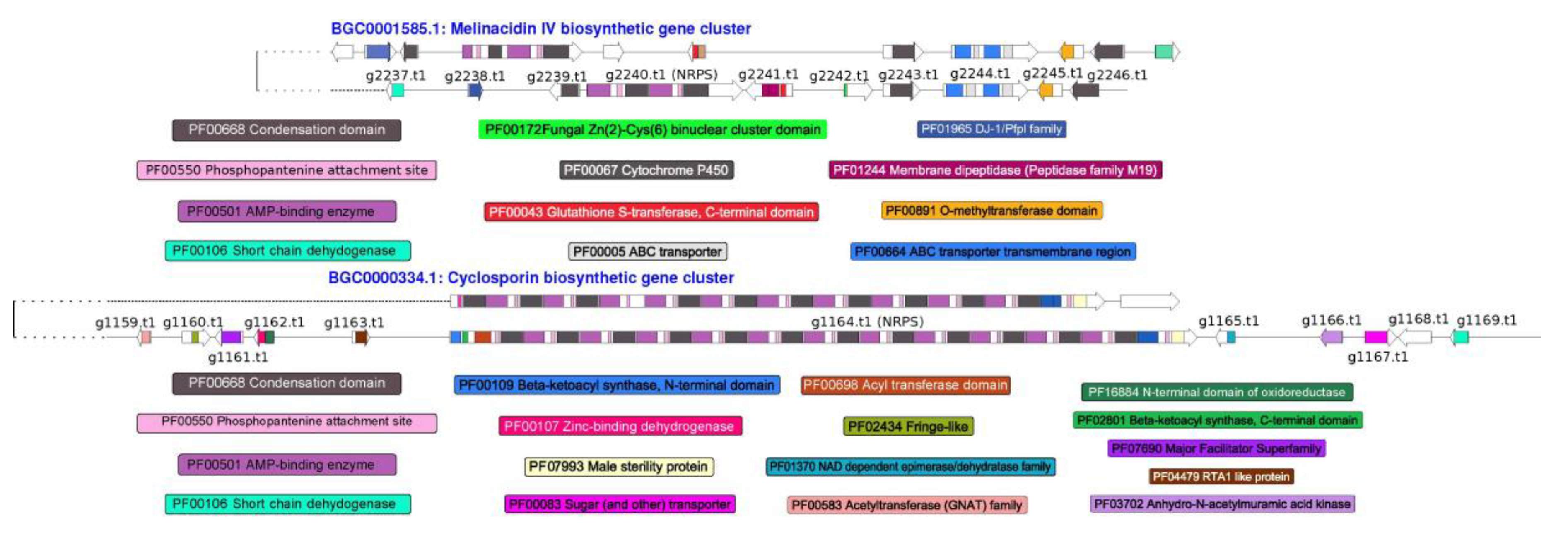 Microorganisms 08 01258 g004