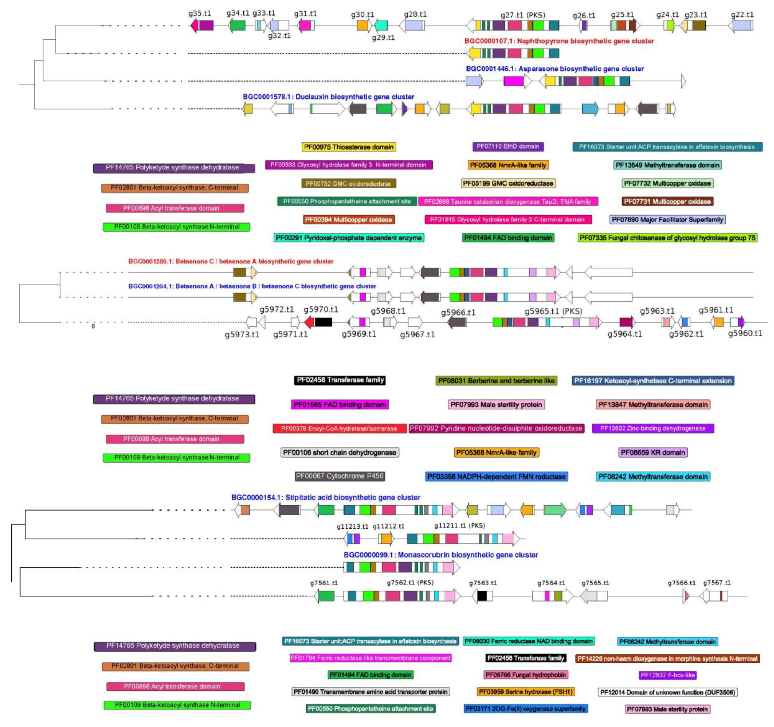 Microorganisms 08 01258 g005