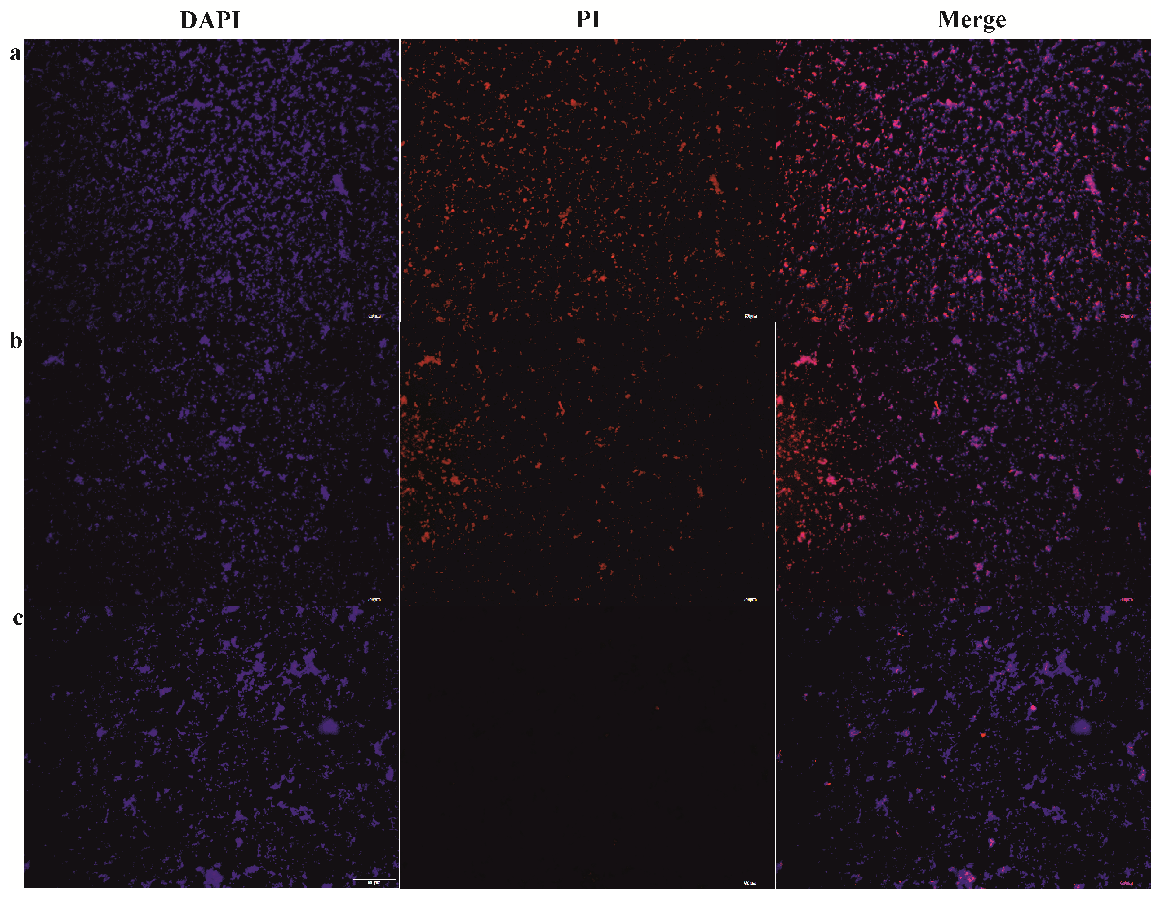 Microorganisms 08 01260 g002