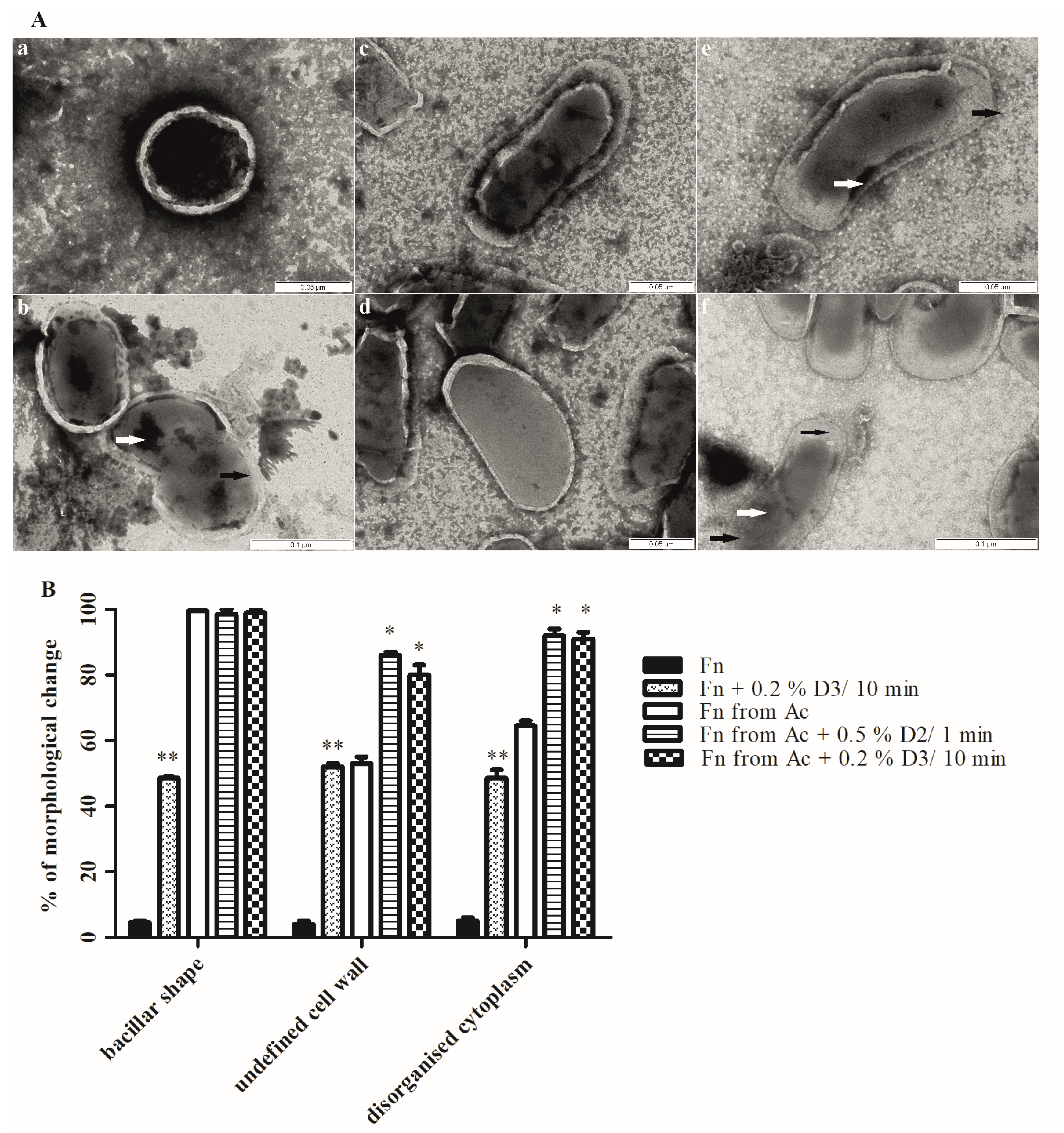 Microorganisms 08 01260 g005