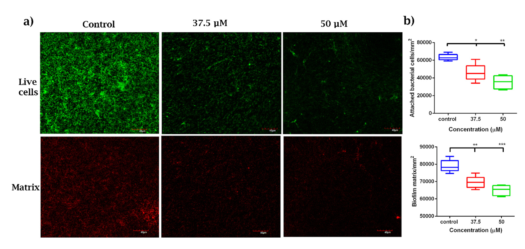 Microorganisms 08 01261 g006 Microorganisms 08 01261 g006