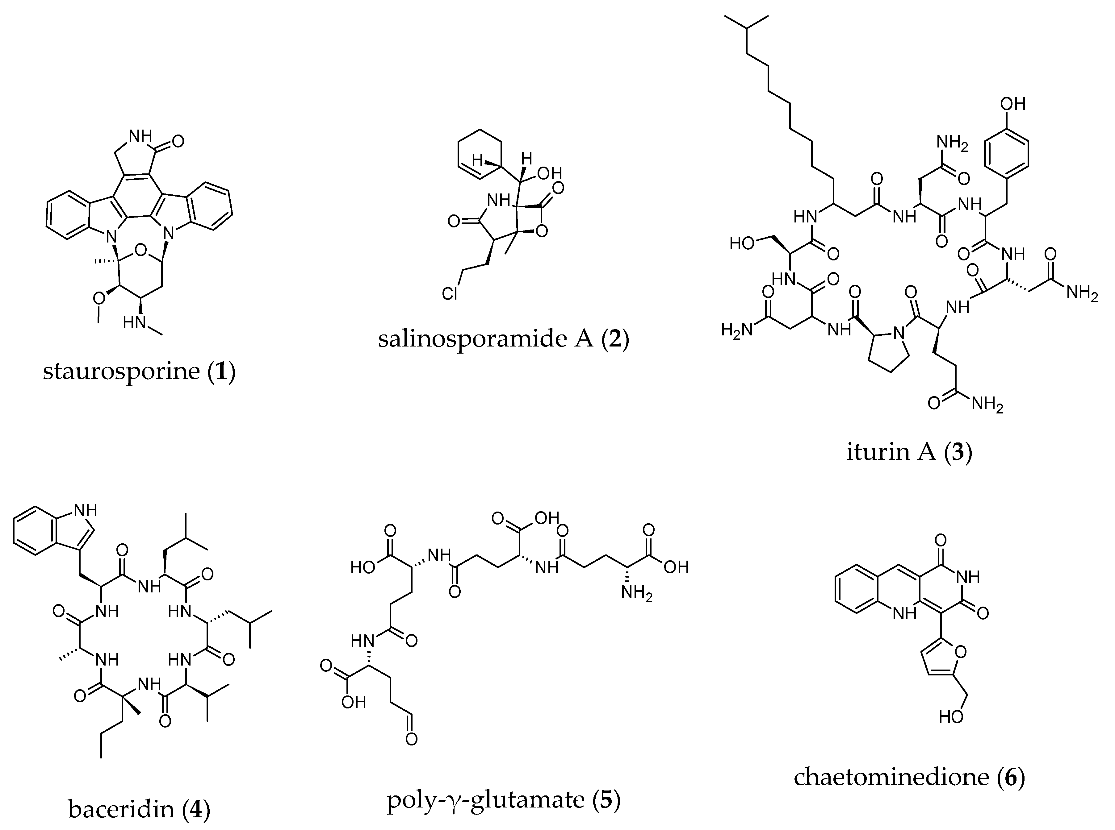 Microorganisms 08 01262 g005