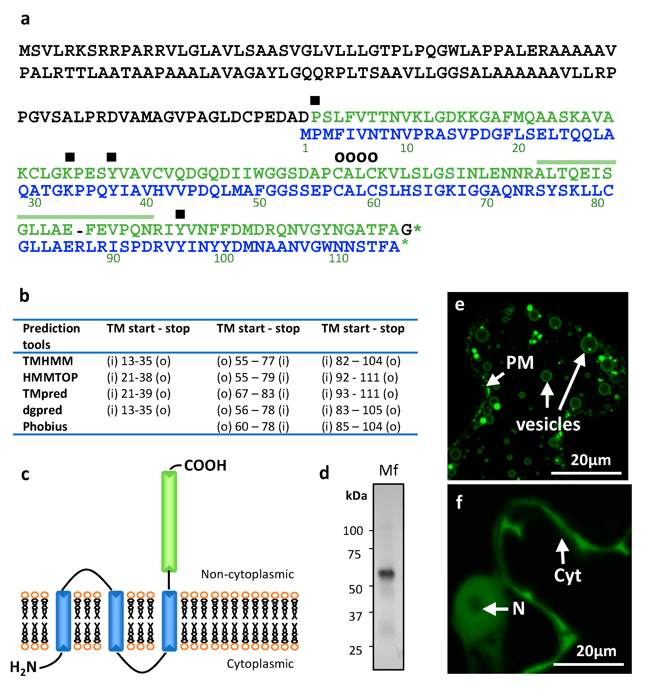 Microorganisms 08 01263 g001 Microorganisms 08 01263 g001