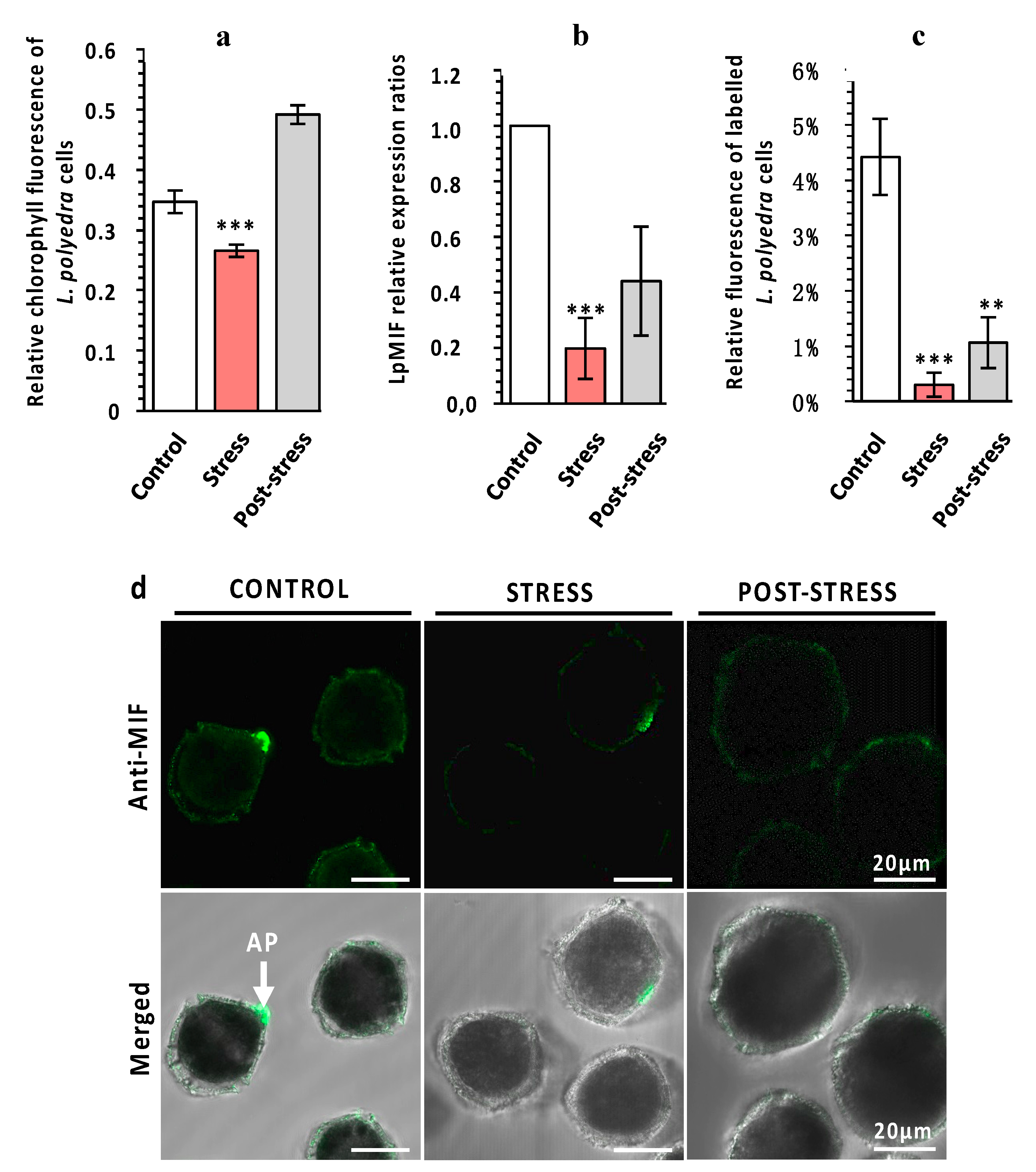 Microorganisms 08 01263 g003 Microorganisms 08 01263 g003