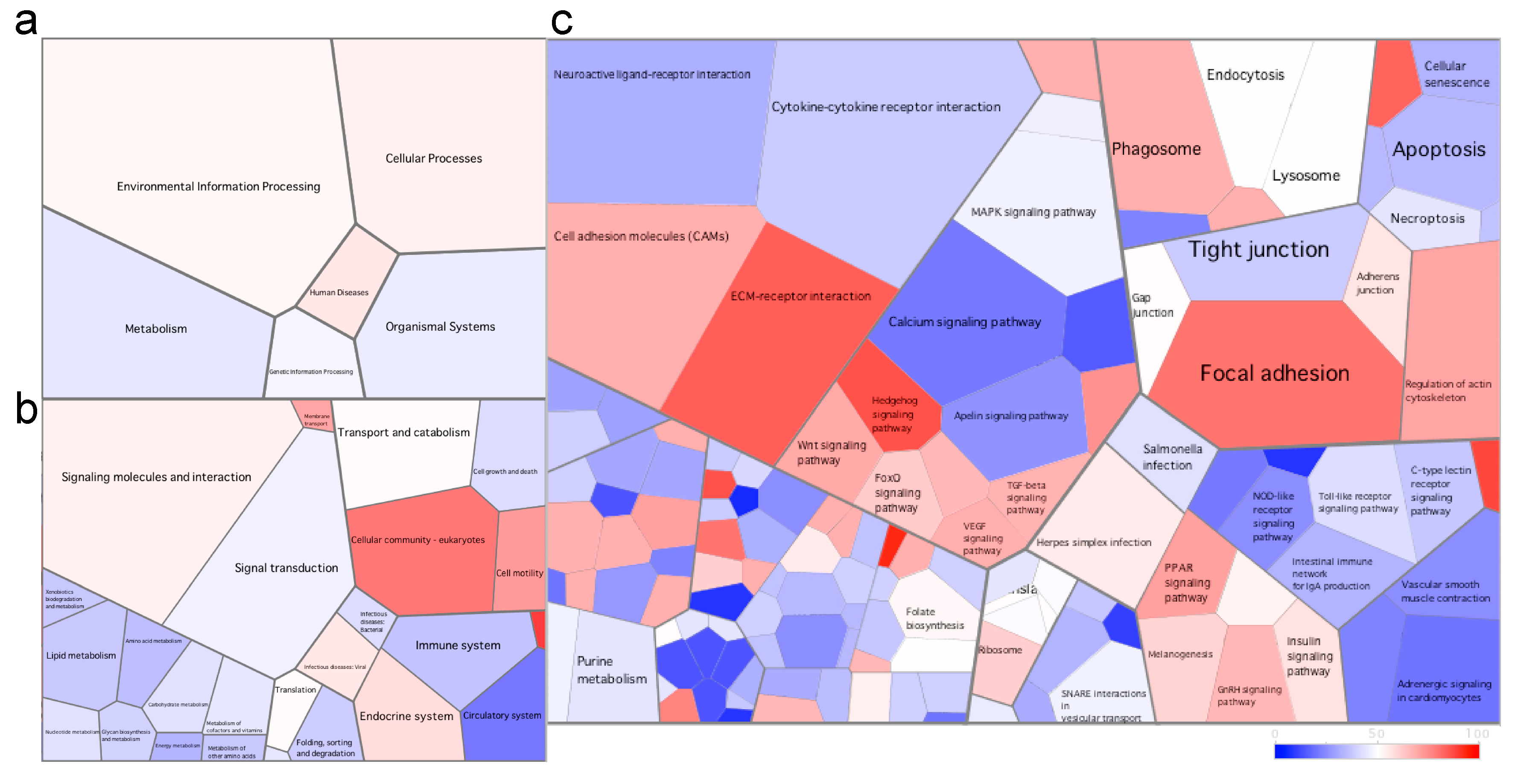 Microorganisms 08 01267 g003 Microorganisms 08 01267 g003