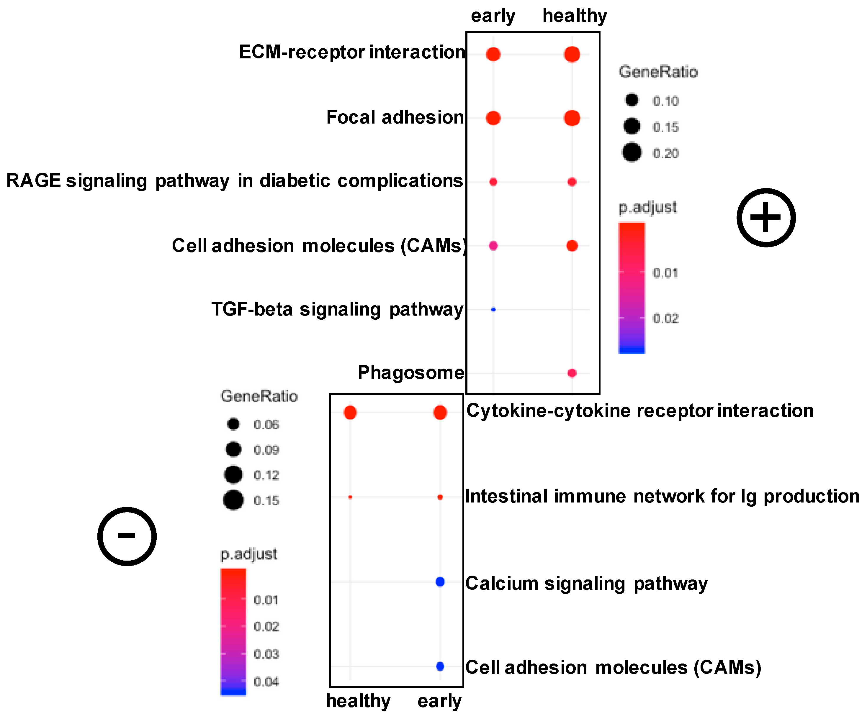 Microorganisms 08 01267 g004 Microorganisms 08 01267 g004