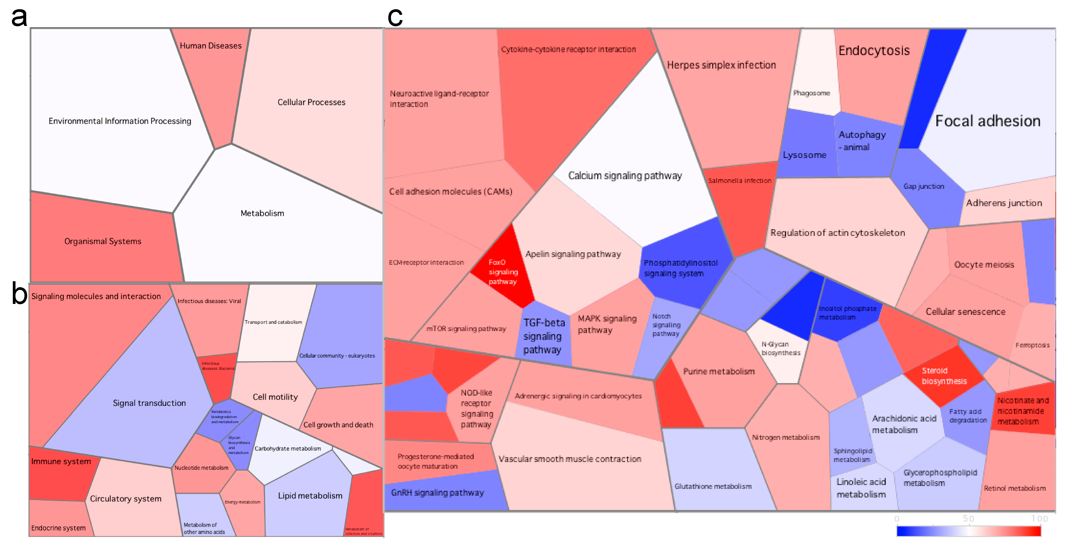 Microorganisms 08 01267 g005 Microorganisms 08 01267 g005