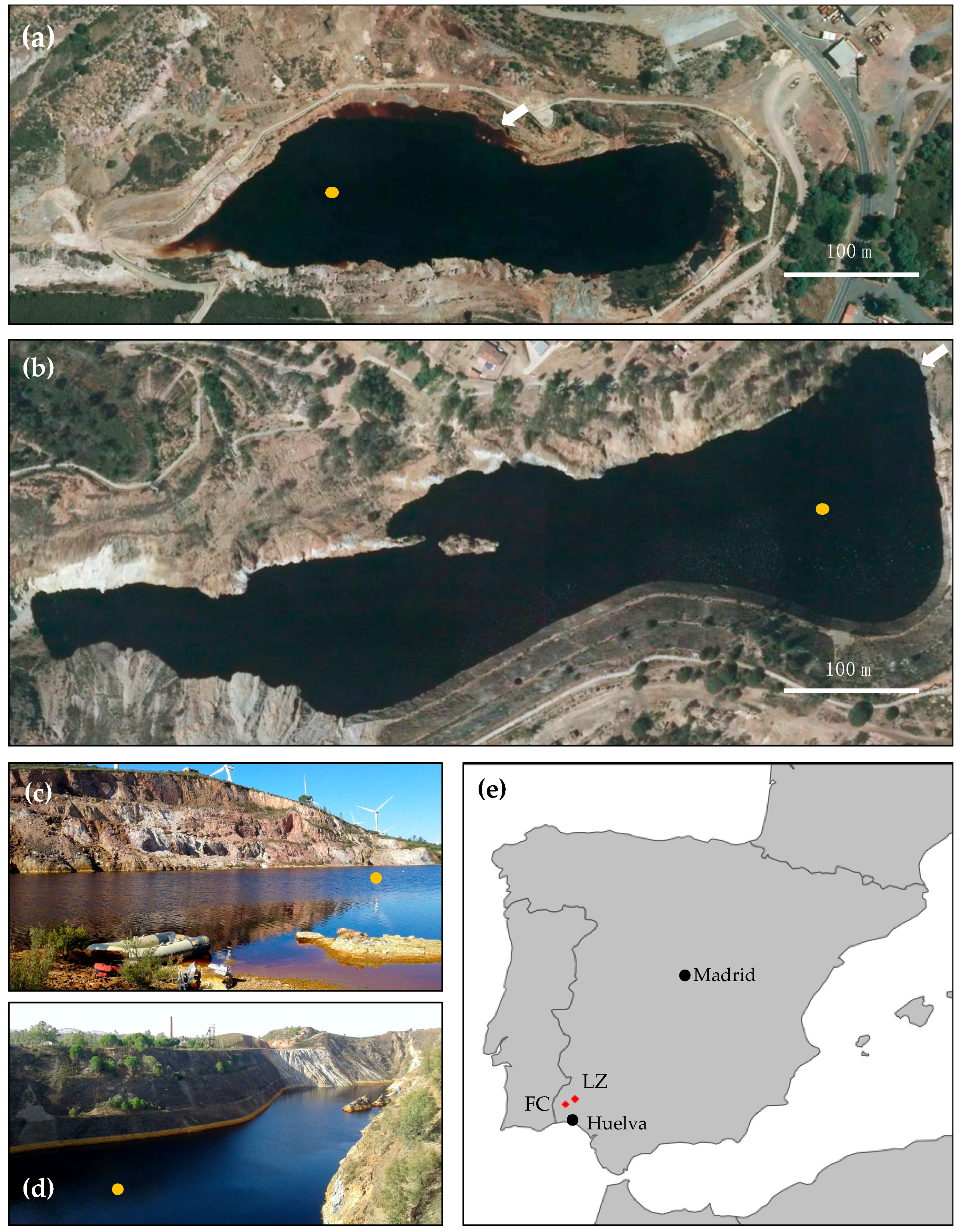 Microorganisms 08 01275 g001 Microorganisms 08 01275 g001