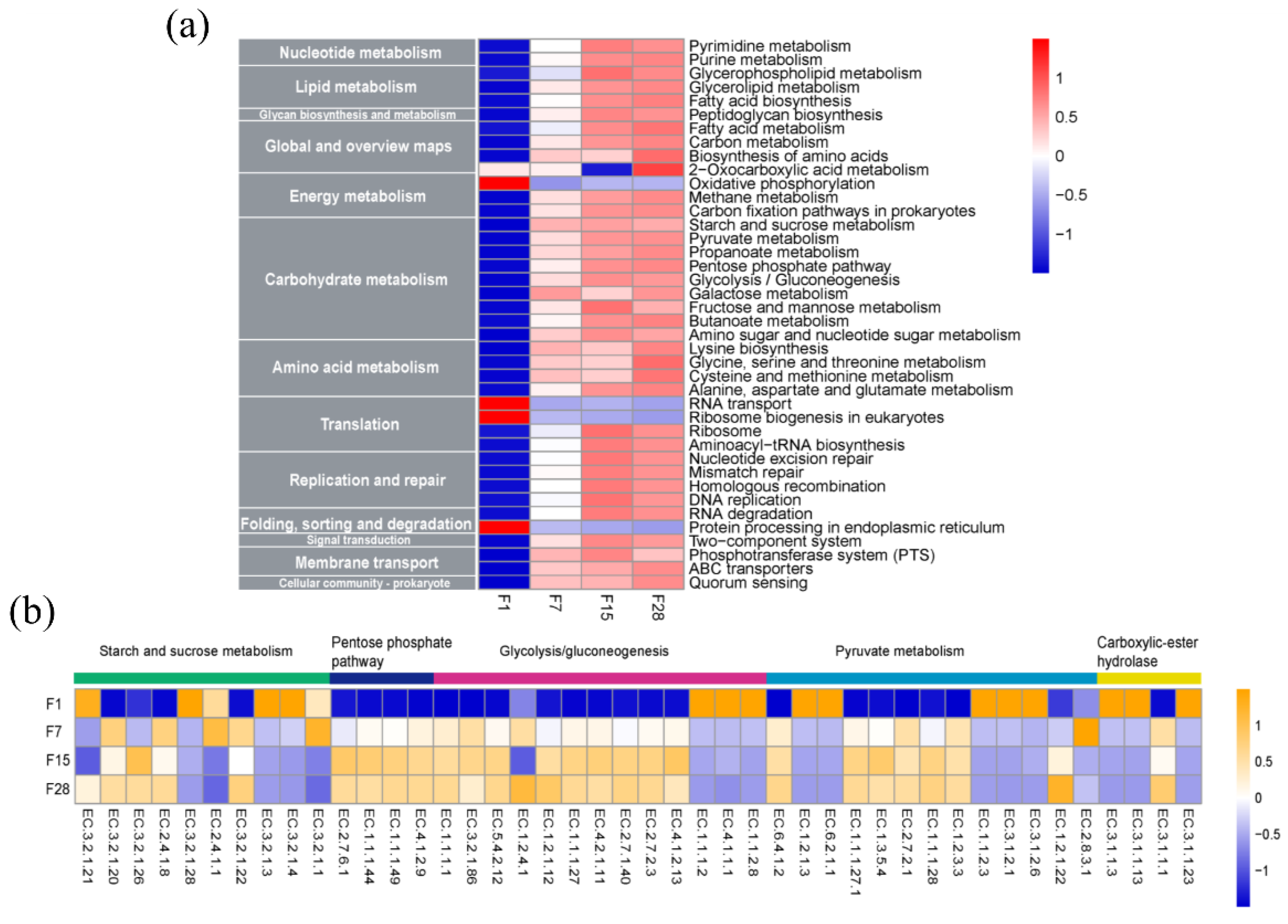 Microorganisms 08 01281 g005 Microorganisms 08 01281 g005