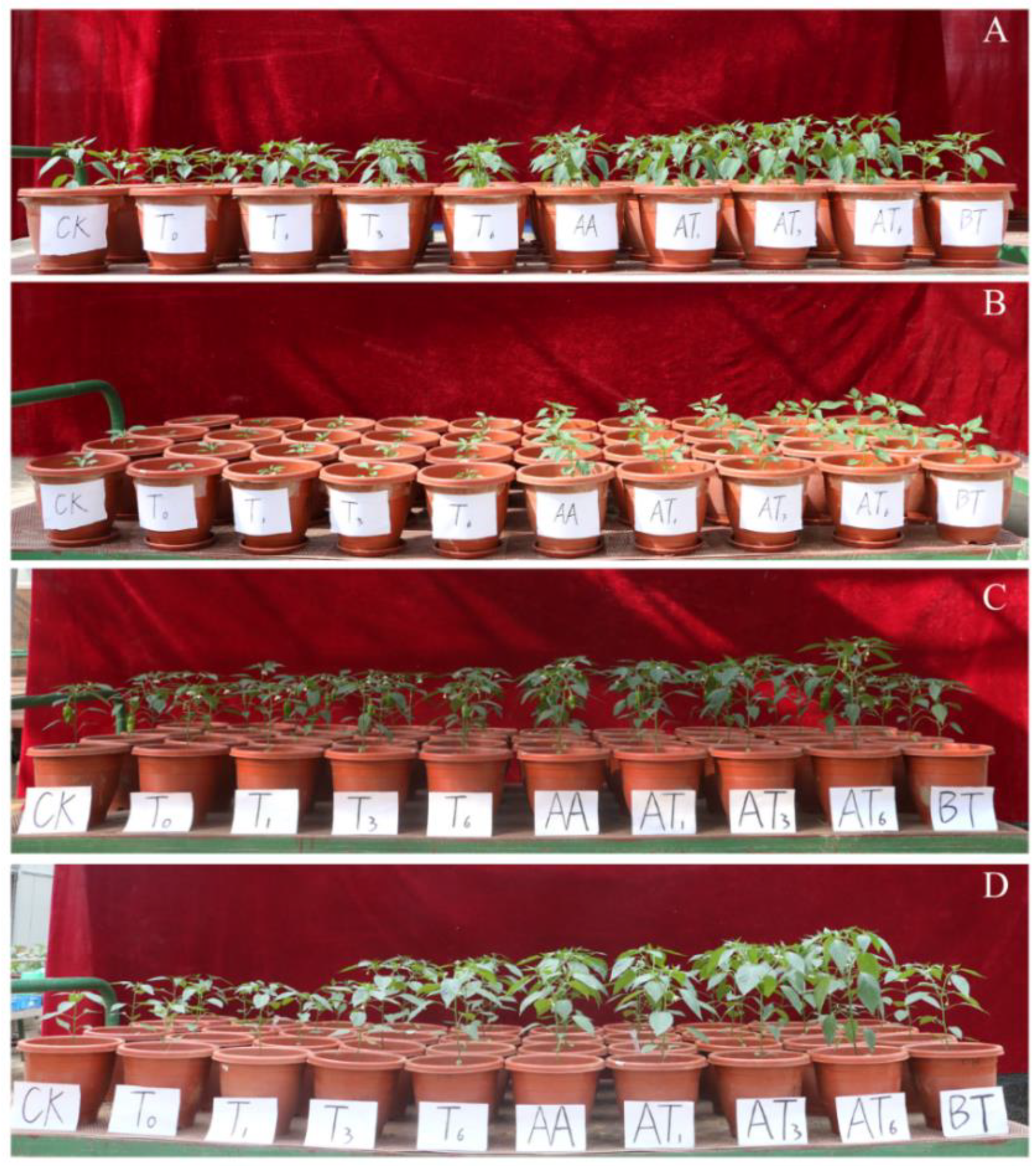 Microorganisms 08 01296 g002