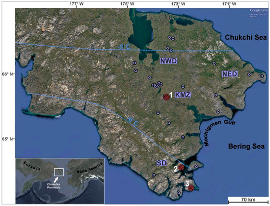 Hot in Cold: Microbial Life in the Hottest Springs in Permafrost