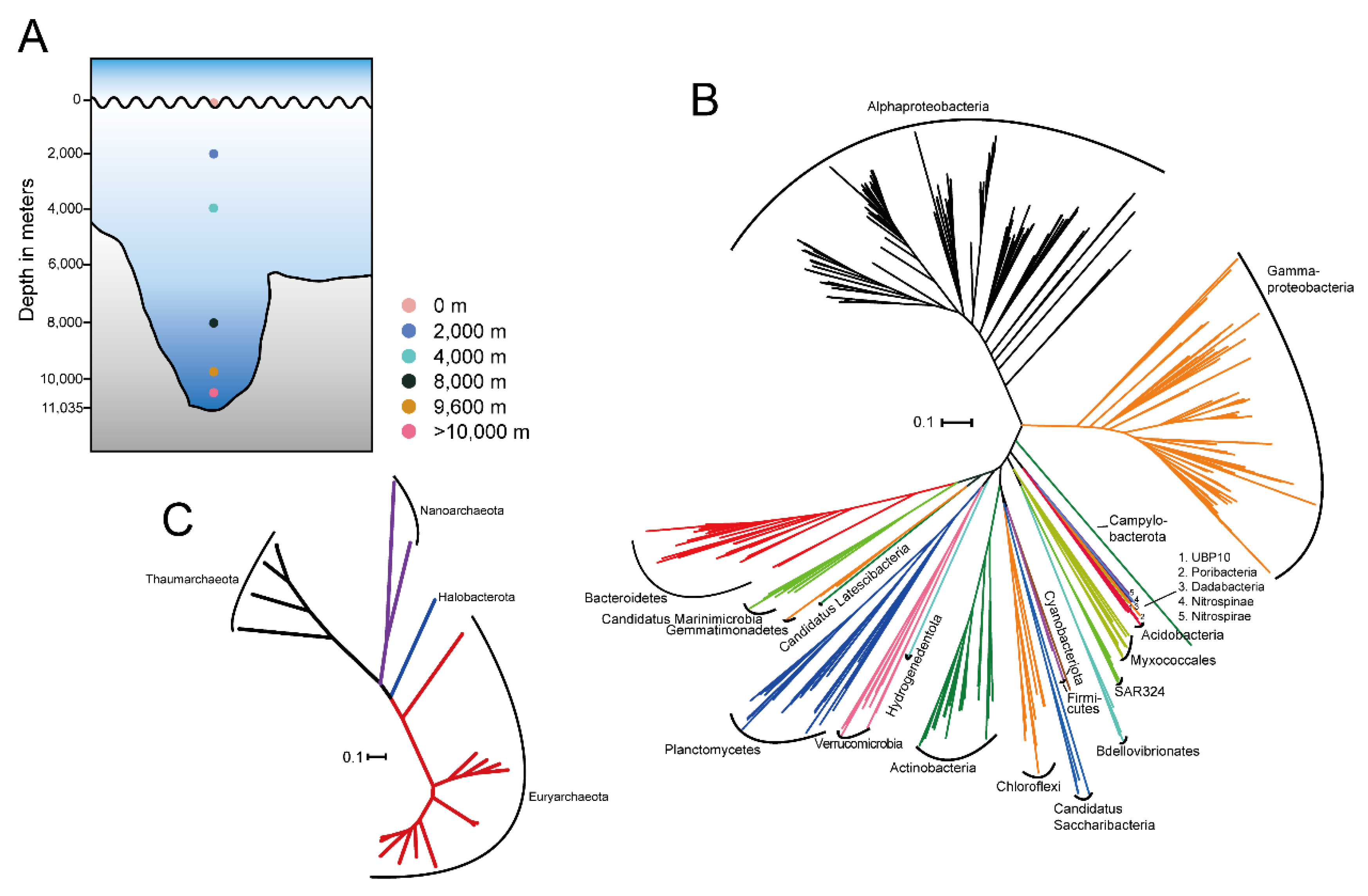Microorganisms 08 01309 g001 Microorganisms 08 01309 g001