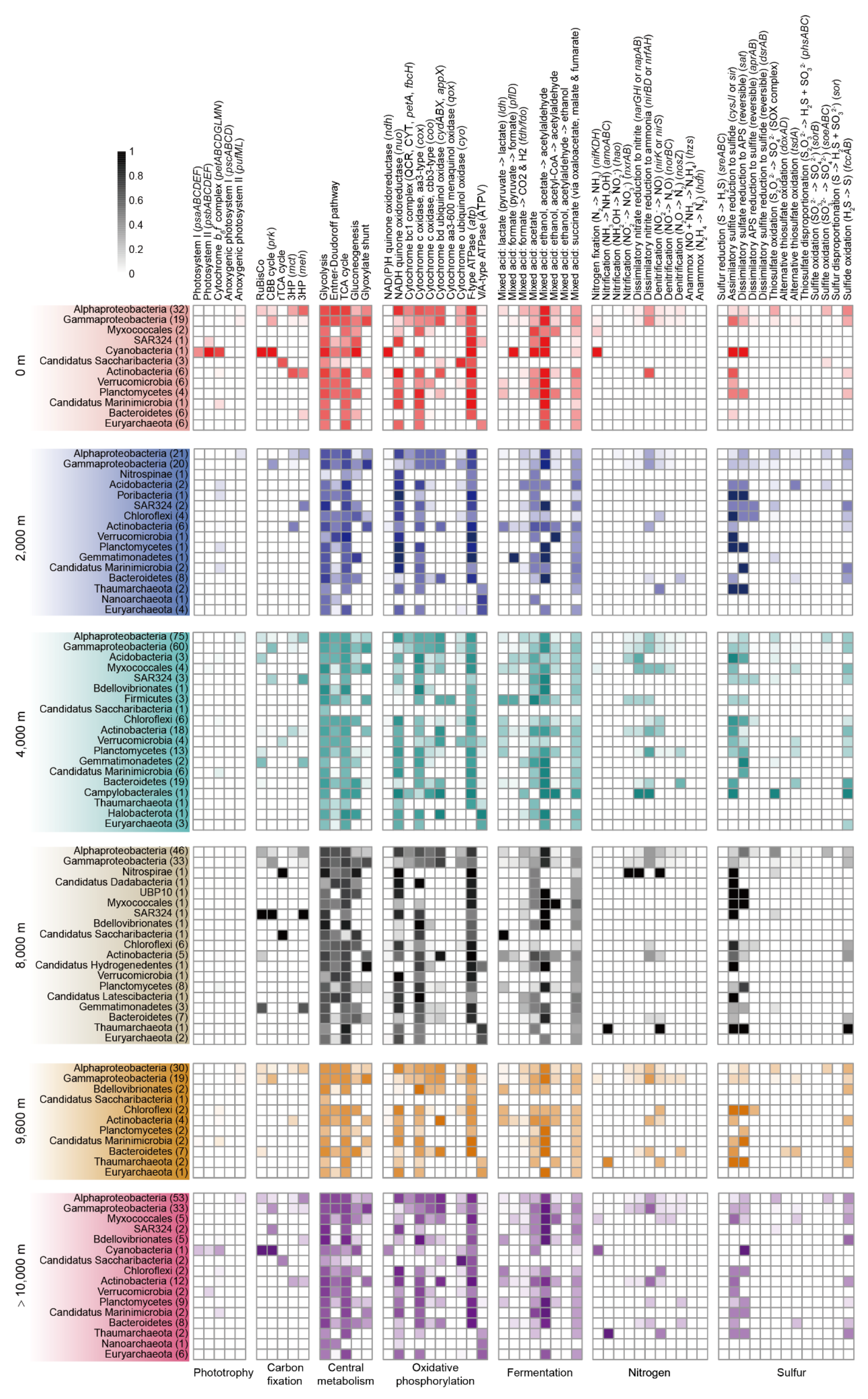 Microorganisms 08 01309 g003 Microorganisms 08 01309 g003