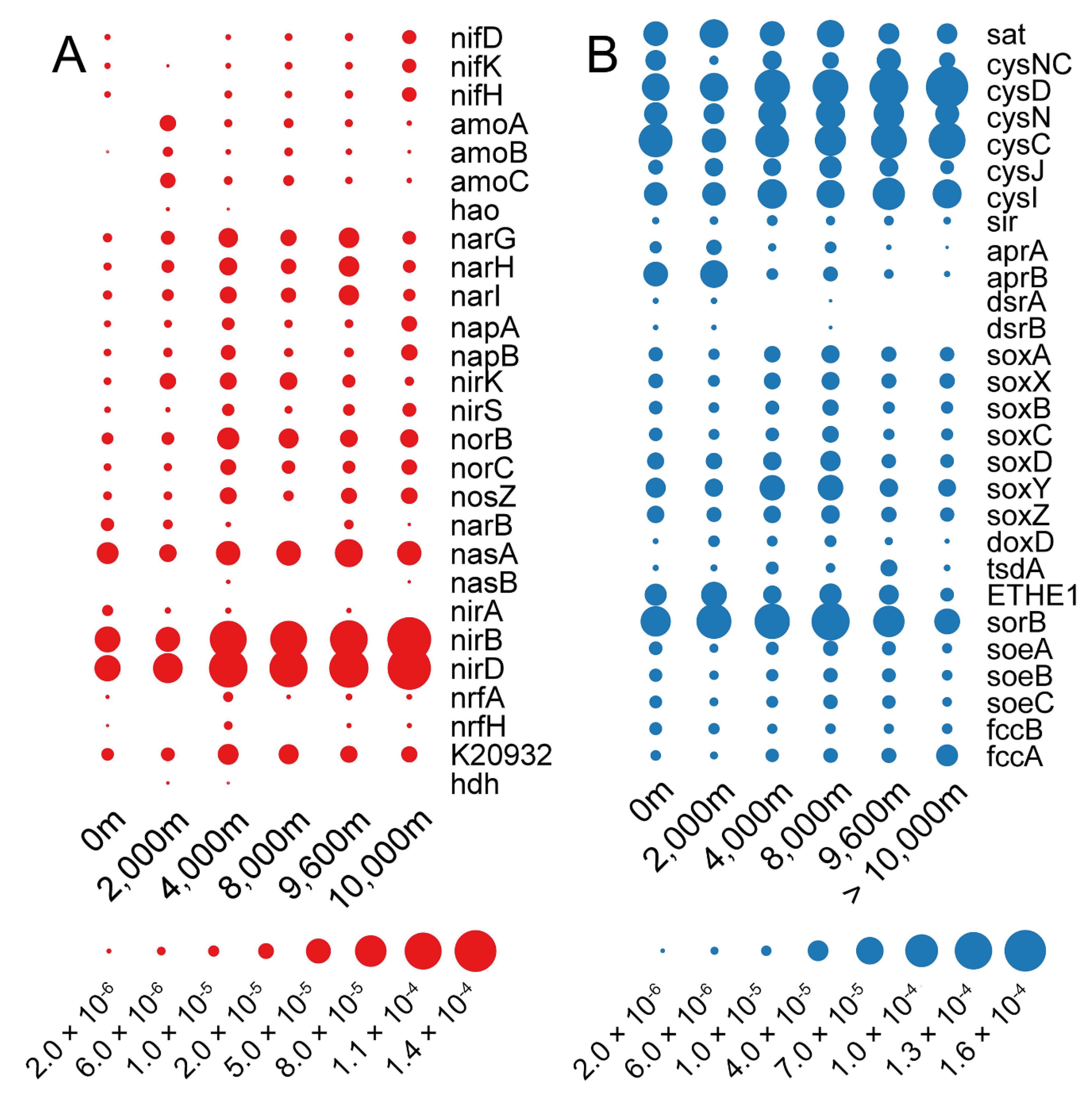 Microorganisms 08 01309 g005 Microorganisms 08 01309 g005