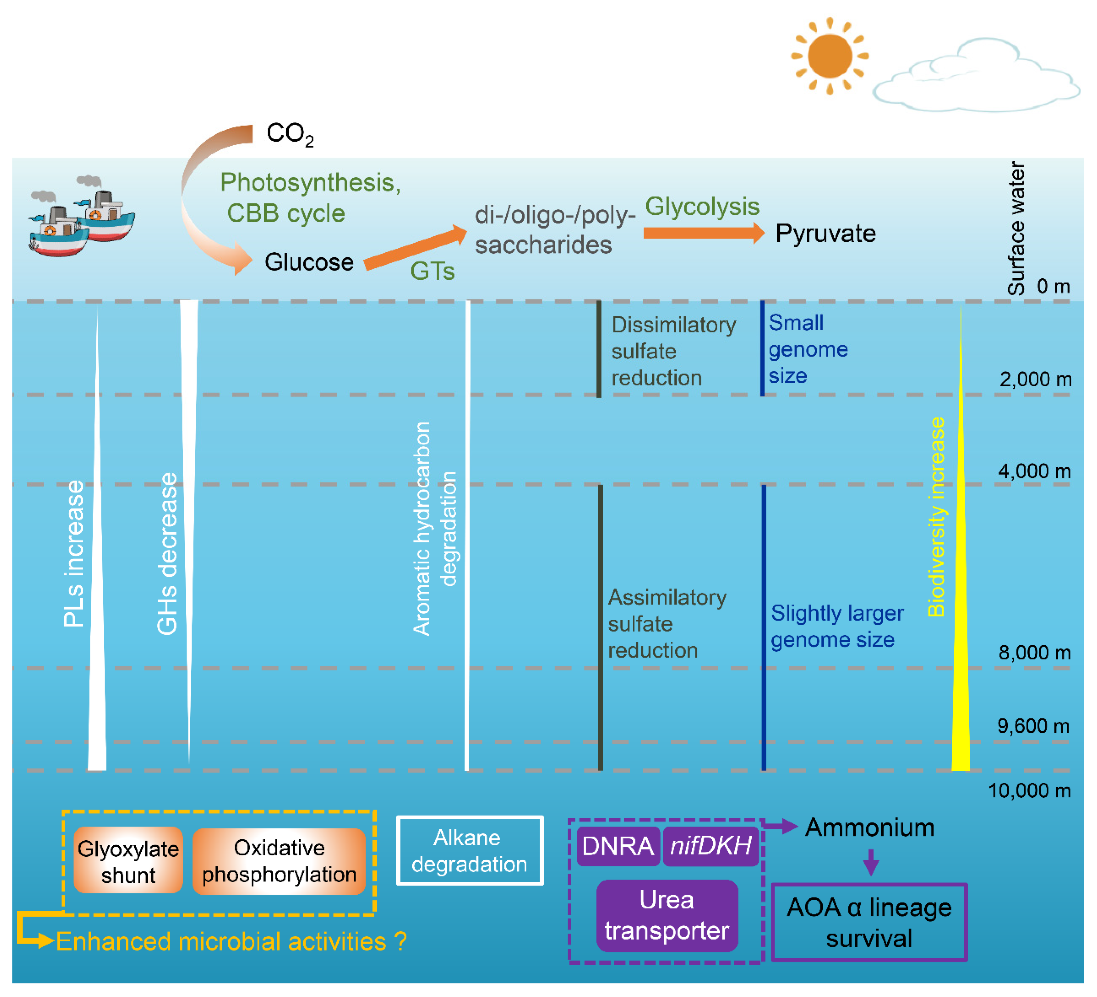 Microorganisms 08 01309 g007 Microorganisms 08 01309 g007