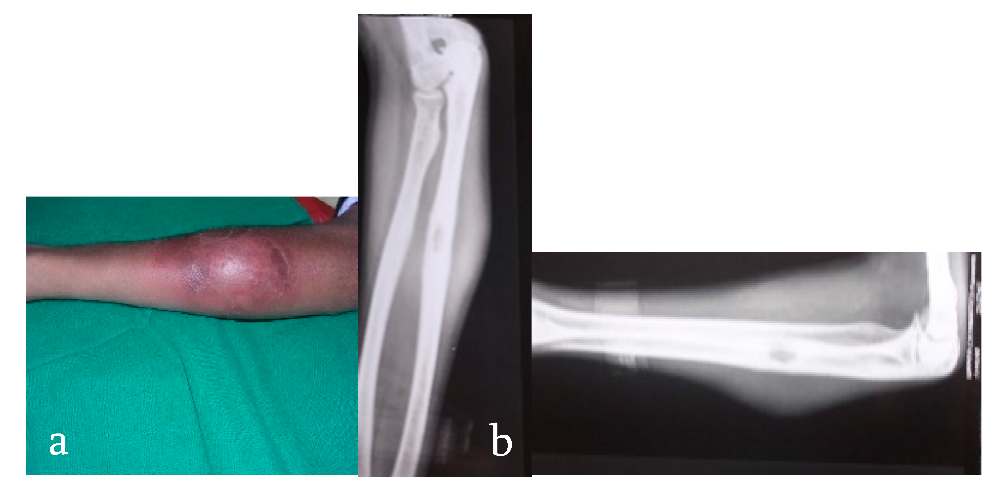 Microorganisms 08 01312 g002 Microorganisms 08 01312 g002