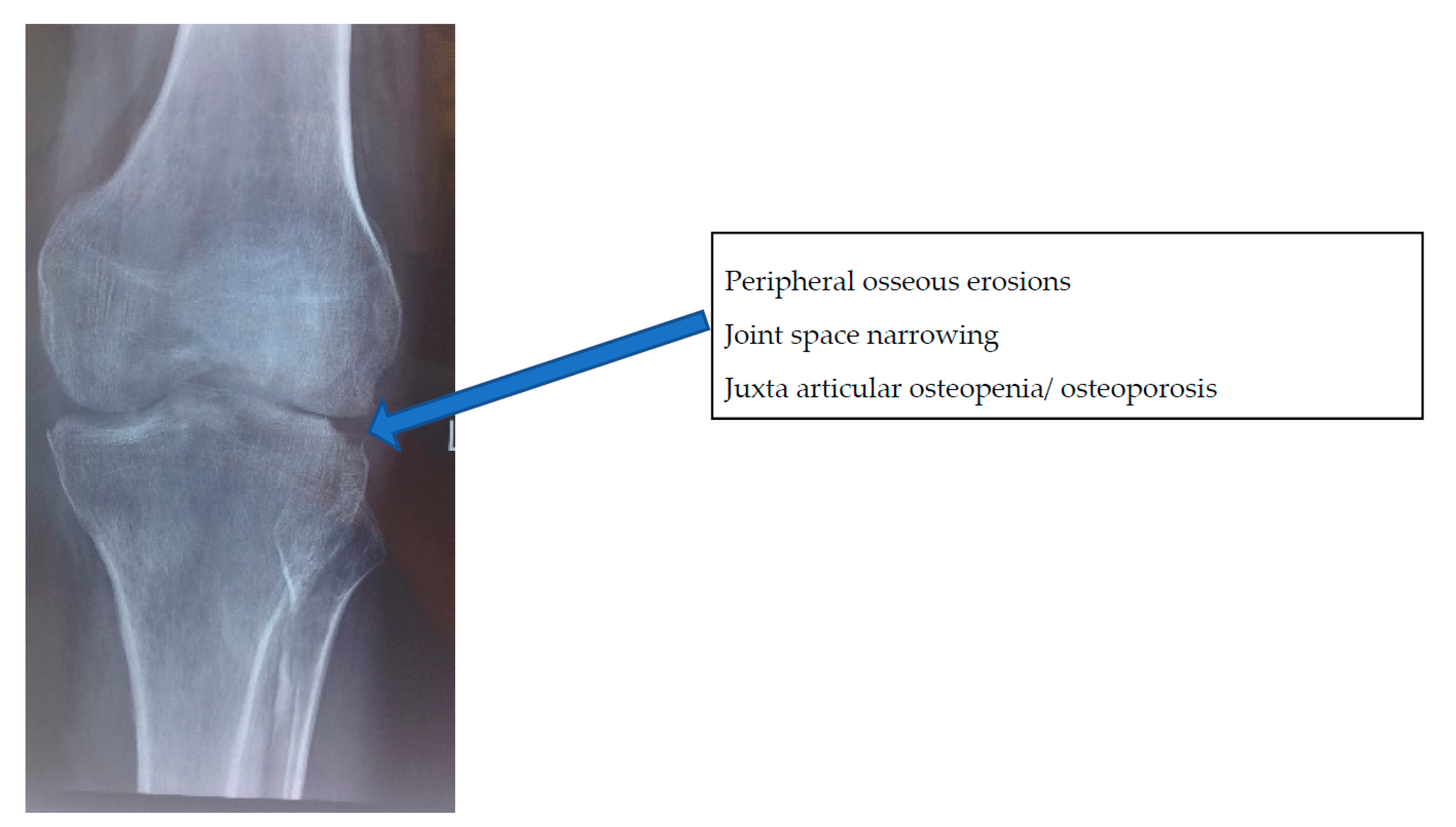 Microorganisms 08 01312 g005 Microorganisms 08 01312 g005