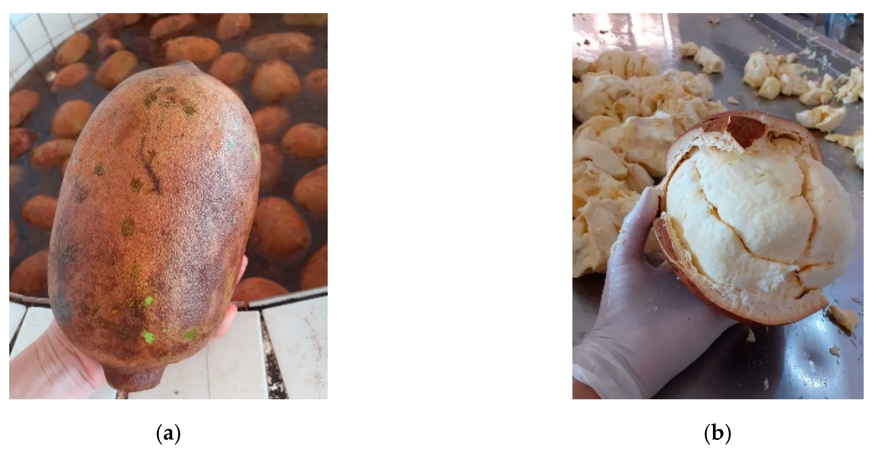 Microorganisms 08 01314 g001 Microorganisms 08 01314 g001