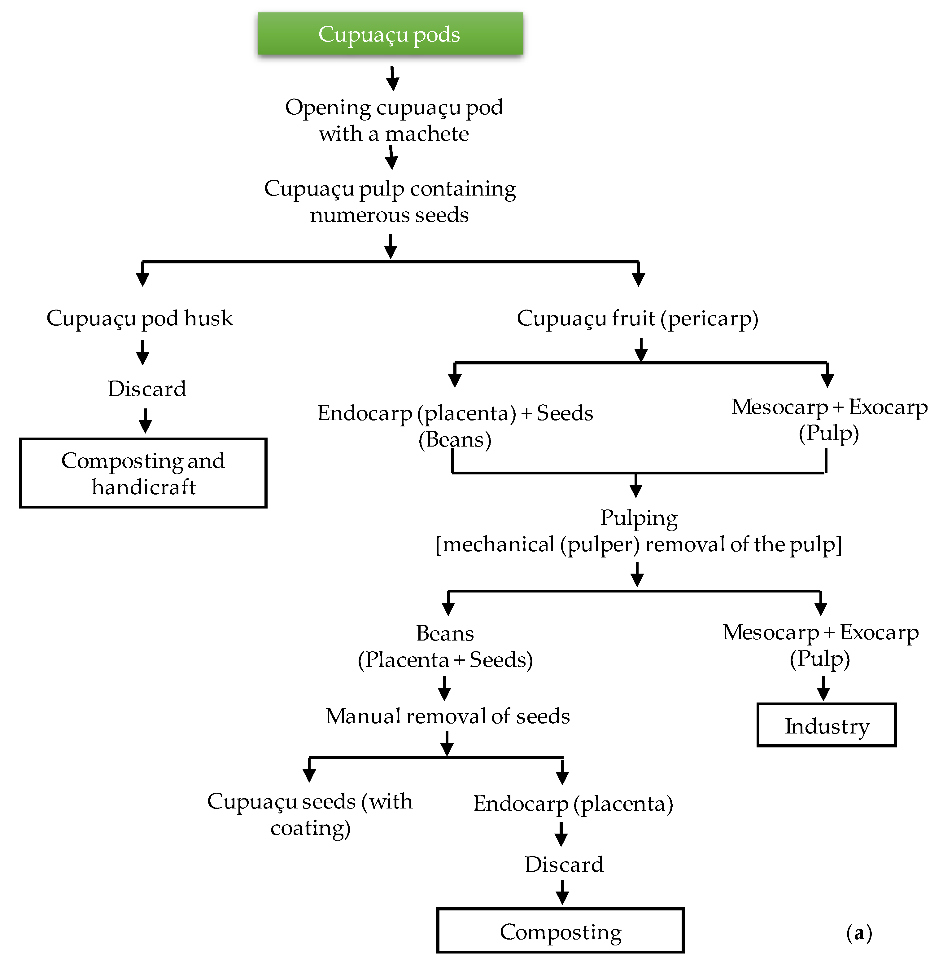 Microorganisms 08 01314 g002a Microorganisms 08 01314 g002a