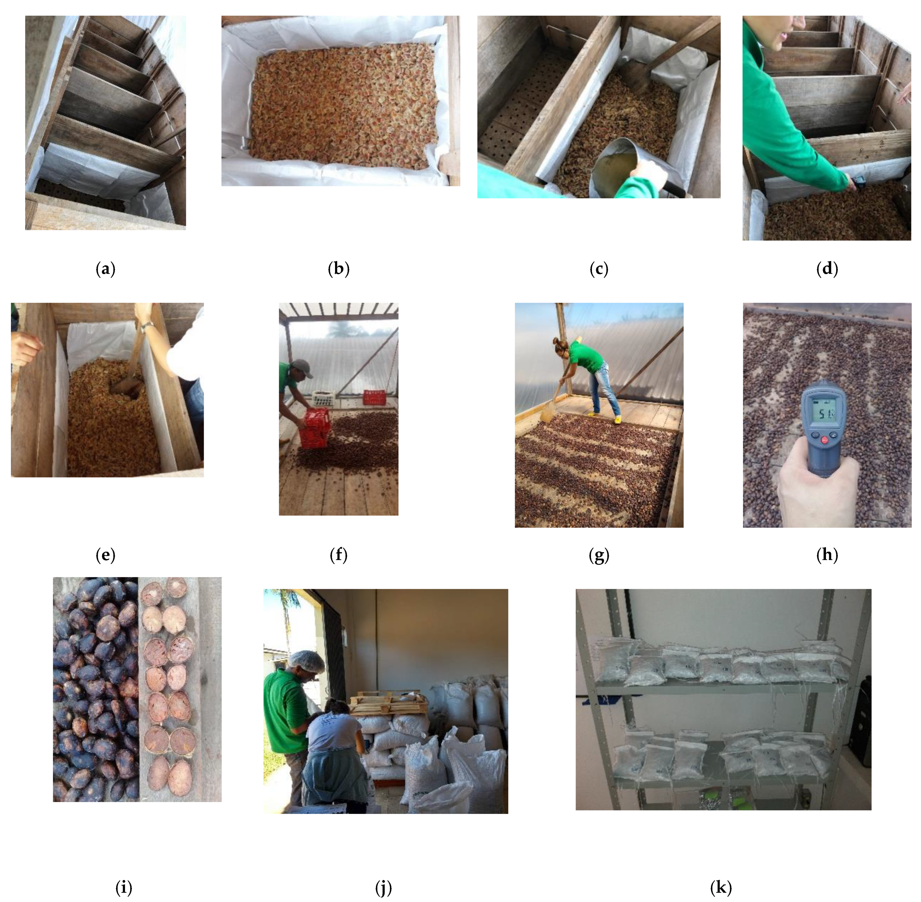 Microorganisms 08 01314 g003 Microorganisms 08 01314 g003