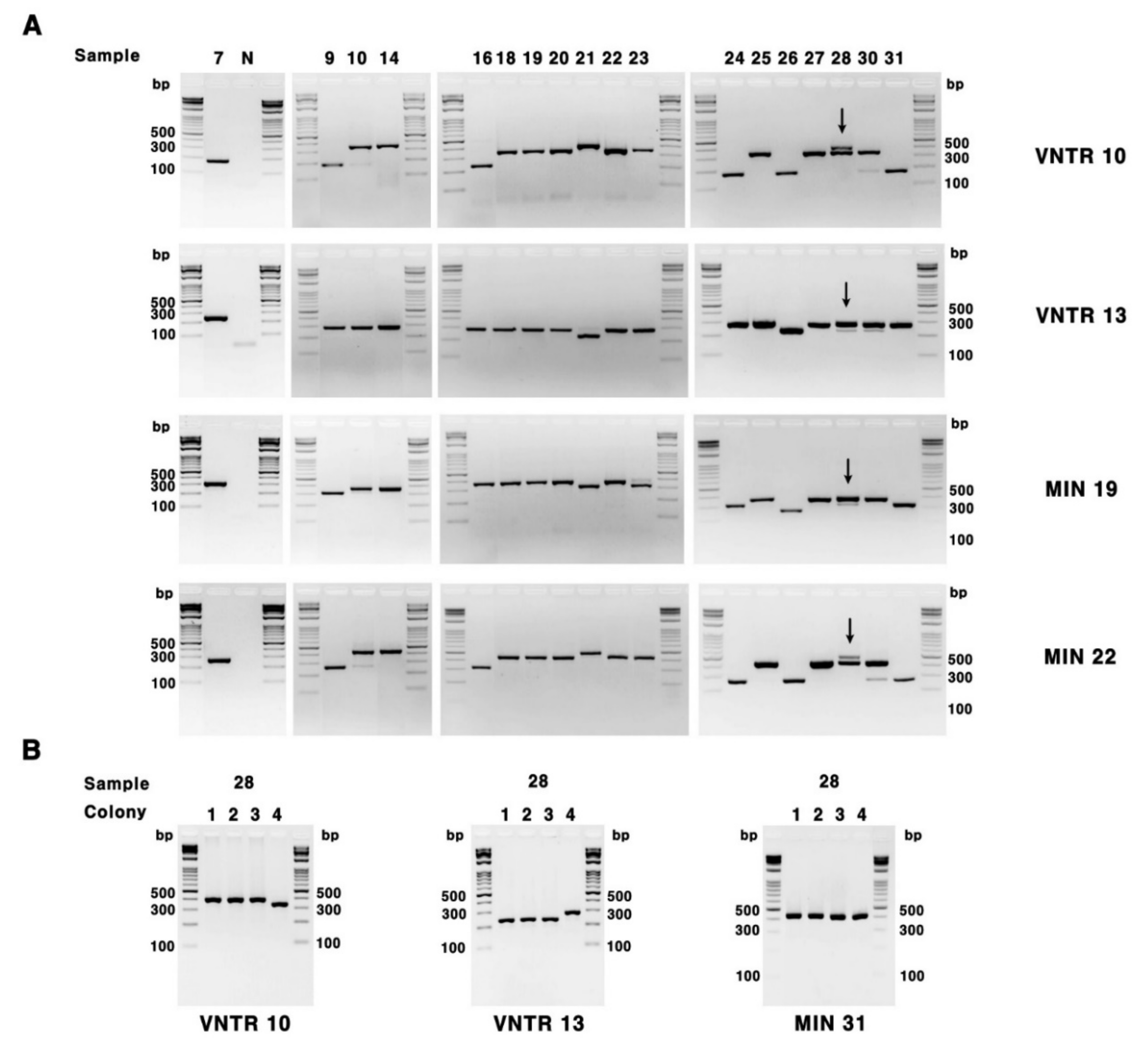 Microorganisms 08 01315 g001 Microorganisms 08 01315 g001