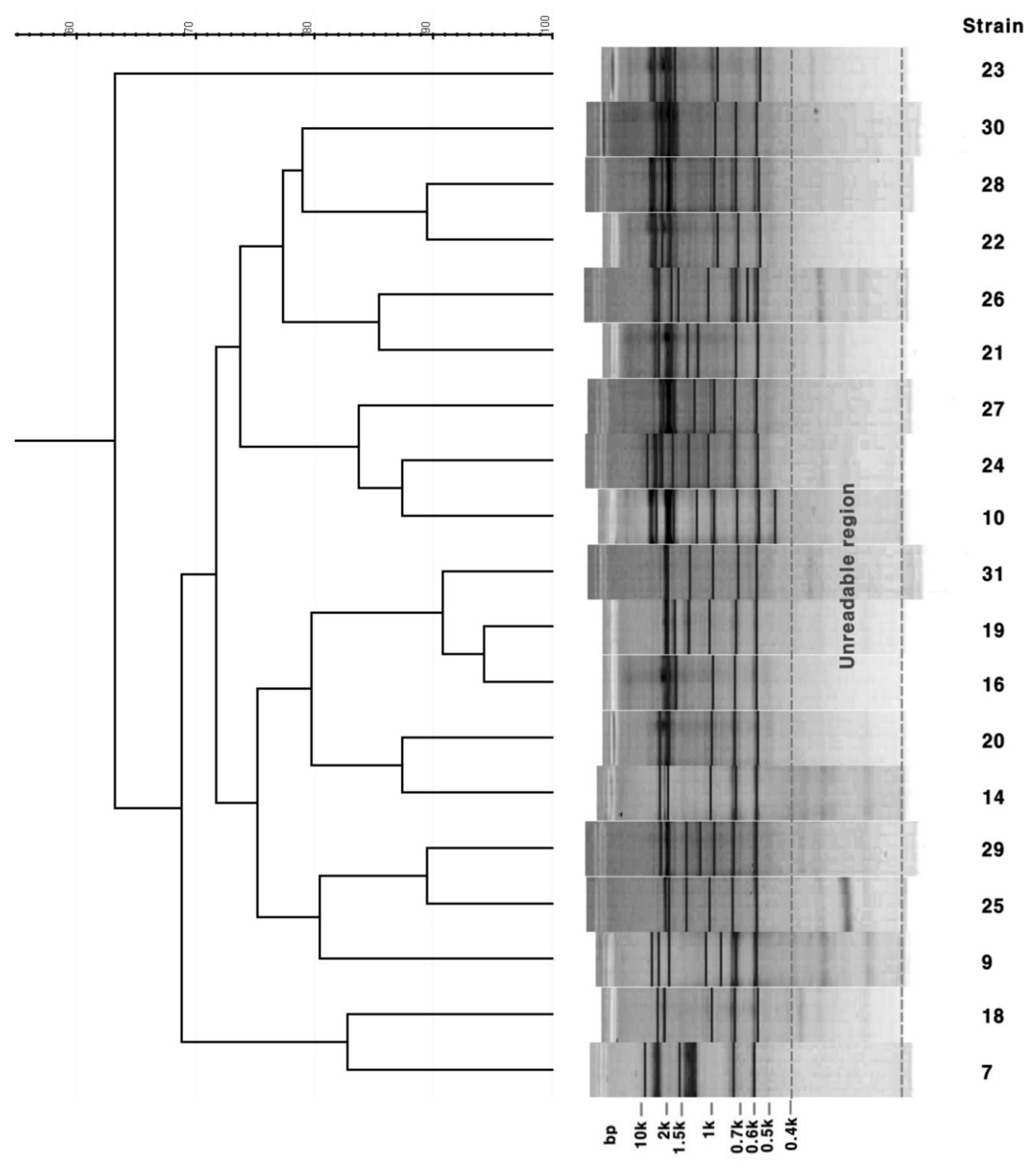 Microorganisms 08 01315 g003 Microorganisms 08 01315 g003