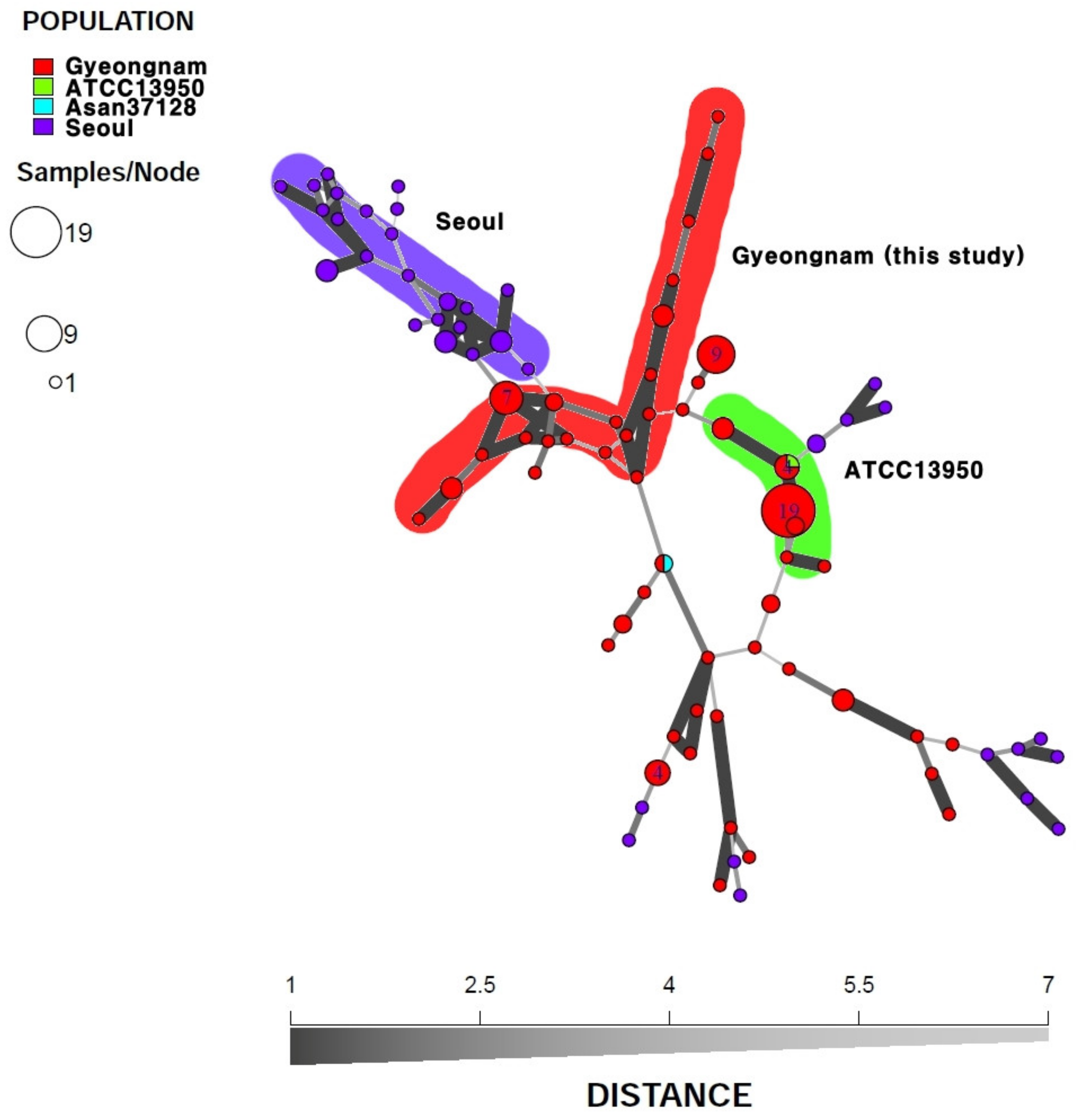 Microorganisms 08 01315 g005 Microorganisms 08 01315 g005