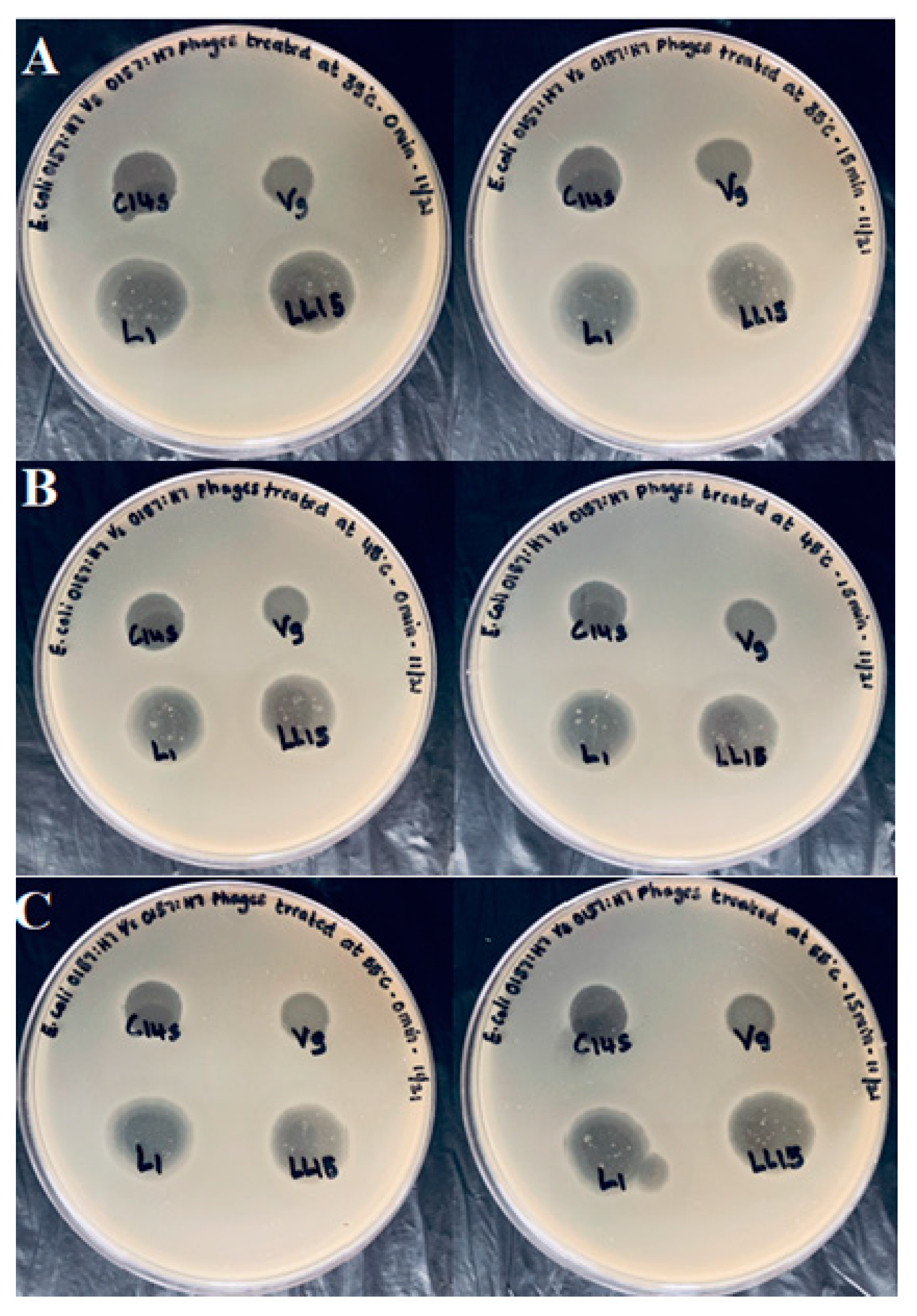 Microorganisms 08 01316 g006