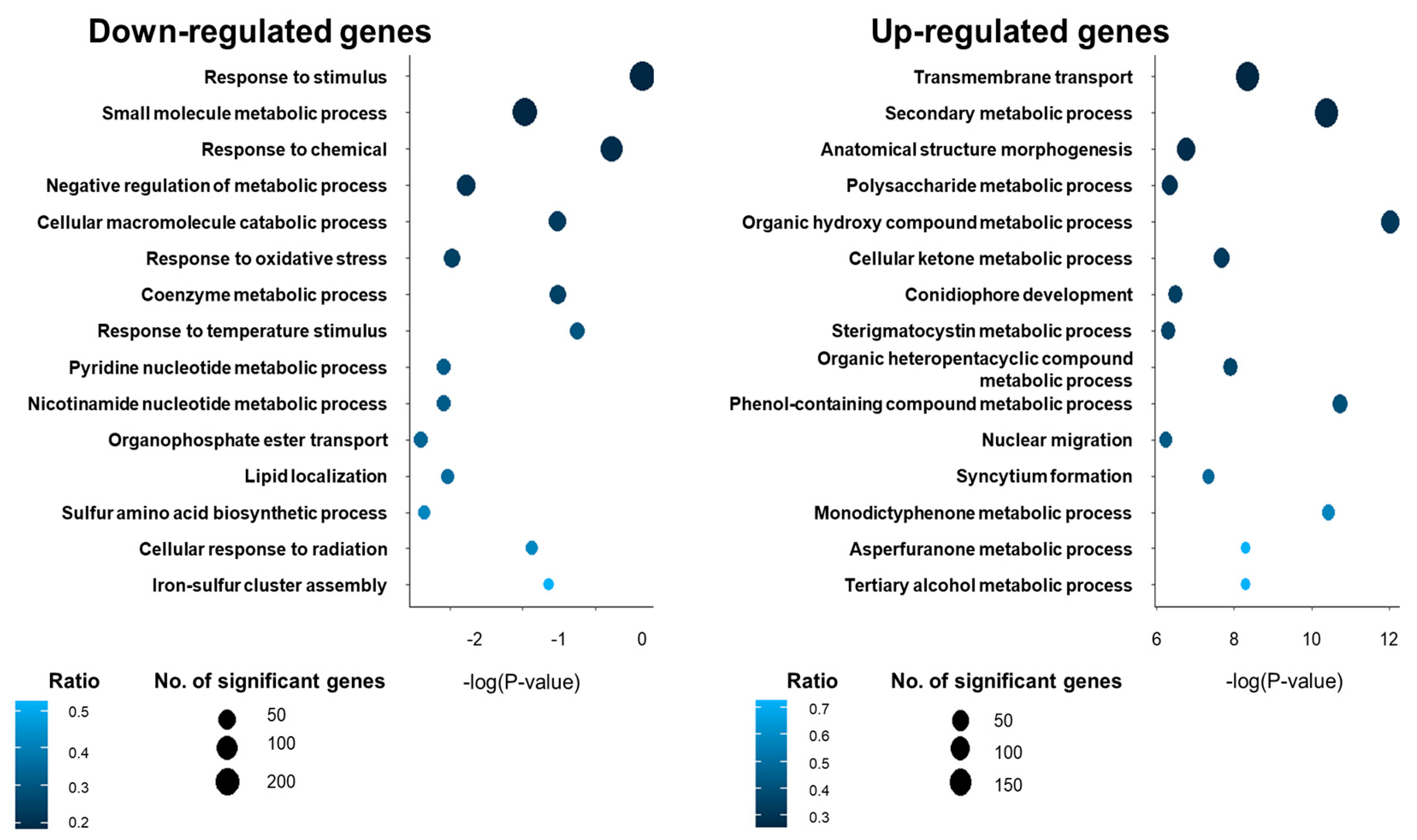 Microorganisms 08 01319 g001 Microorganisms 08 01319 g001