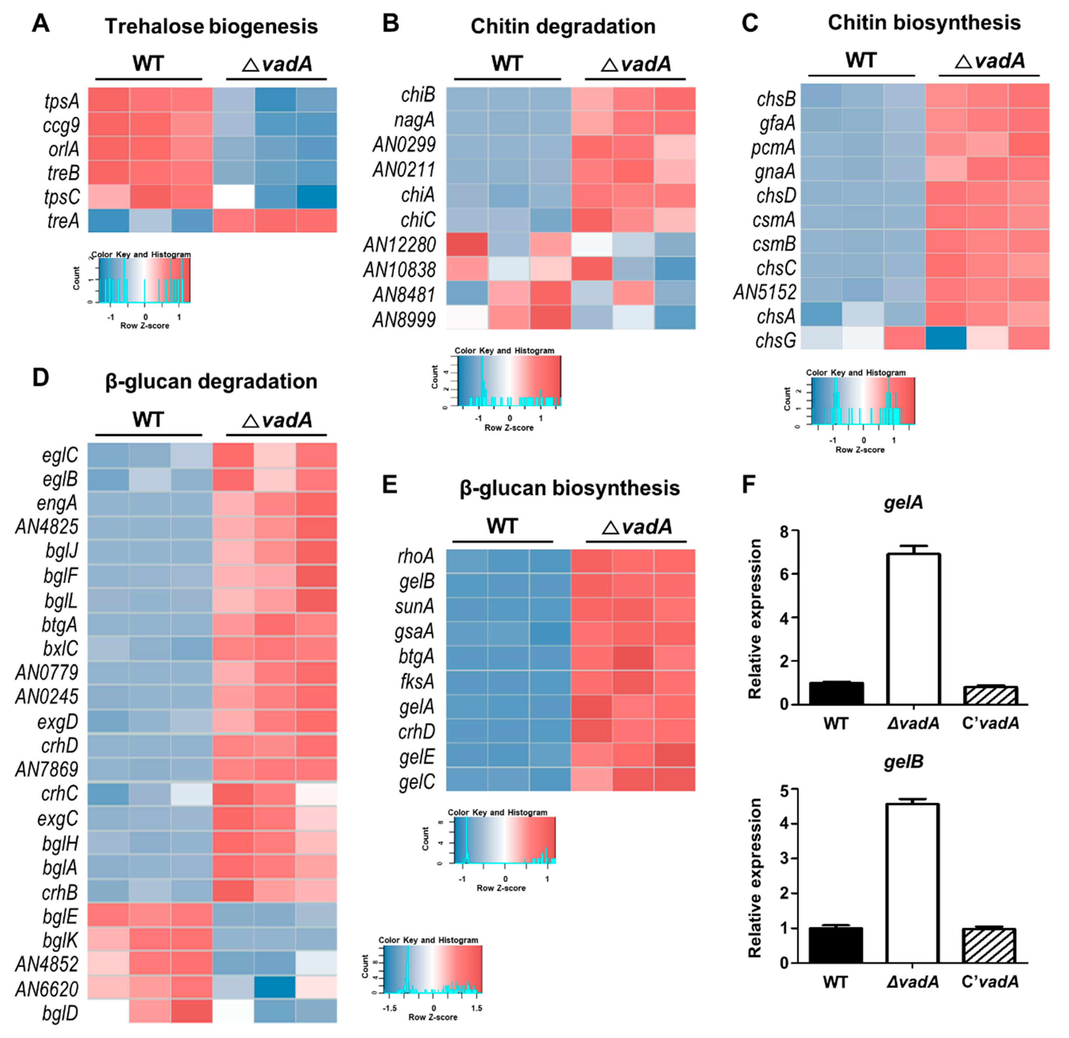 Microorganisms 08 01319 g002 Microorganisms 08 01319 g002