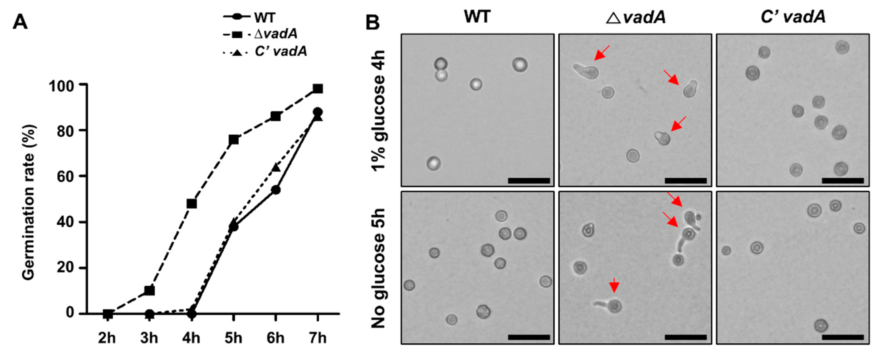 Microorganisms 08 01319 g003 Microorganisms 08 01319 g003