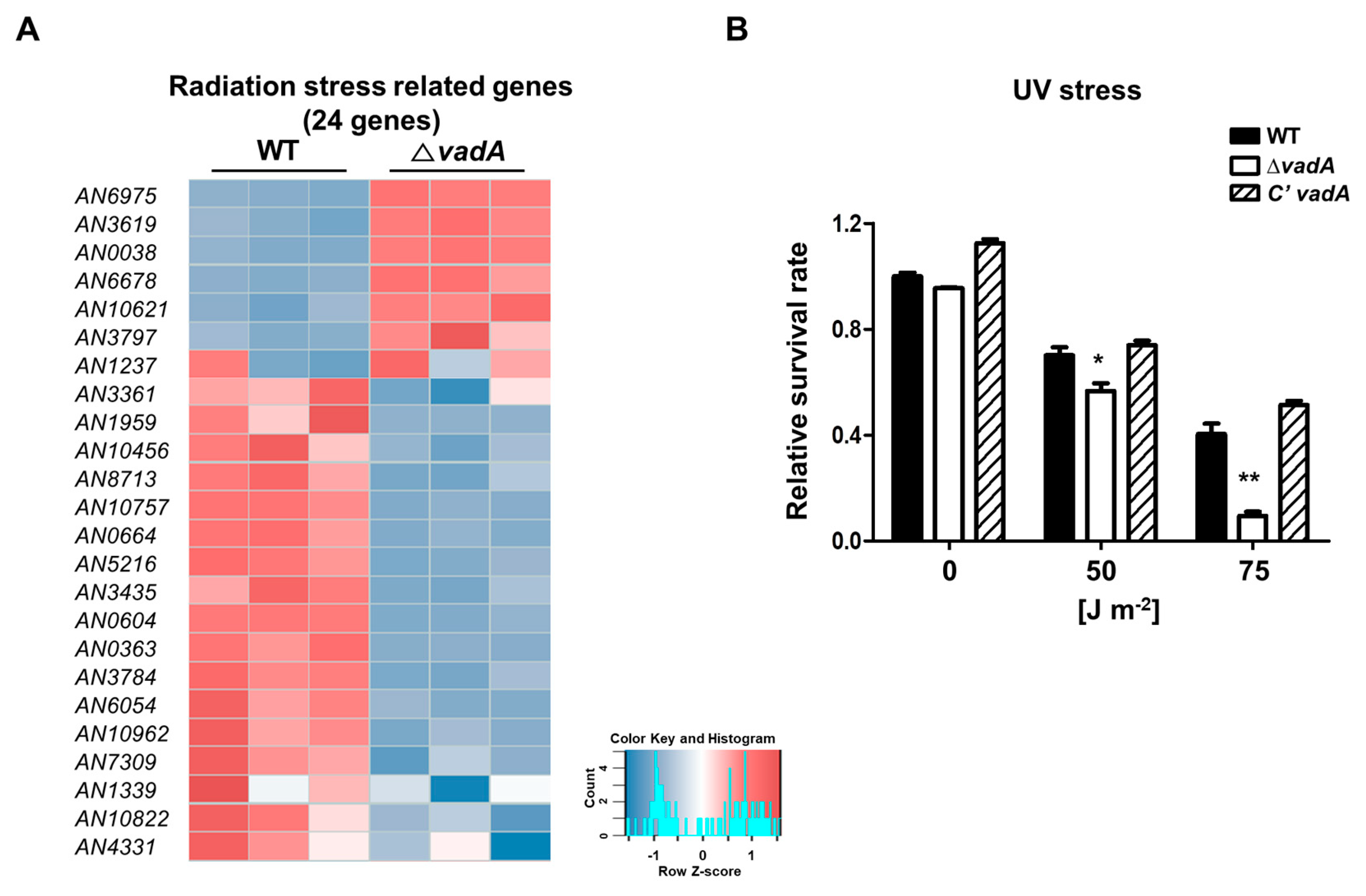 Microorganisms 08 01319 g004 Microorganisms 08 01319 g004