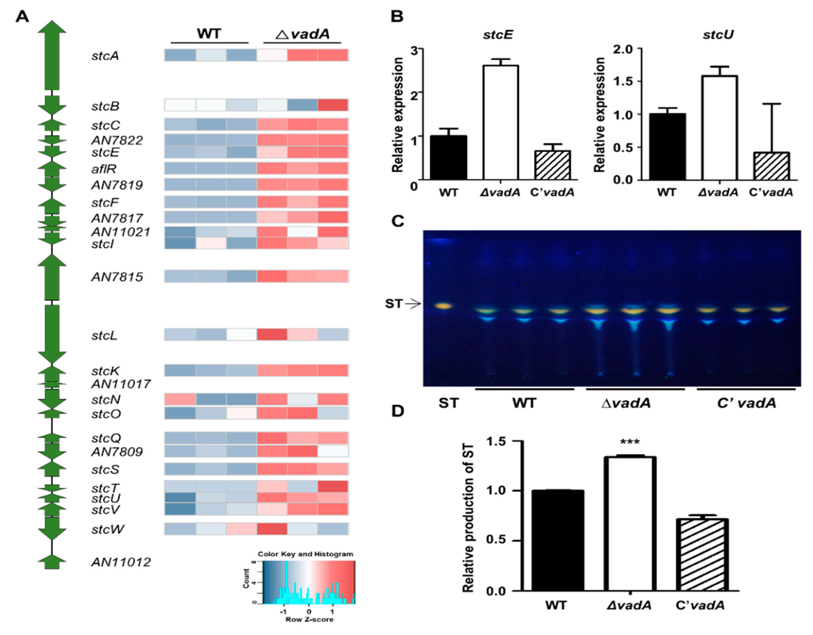 Microorganisms 08 01319 g005 Microorganisms 08 01319 g005