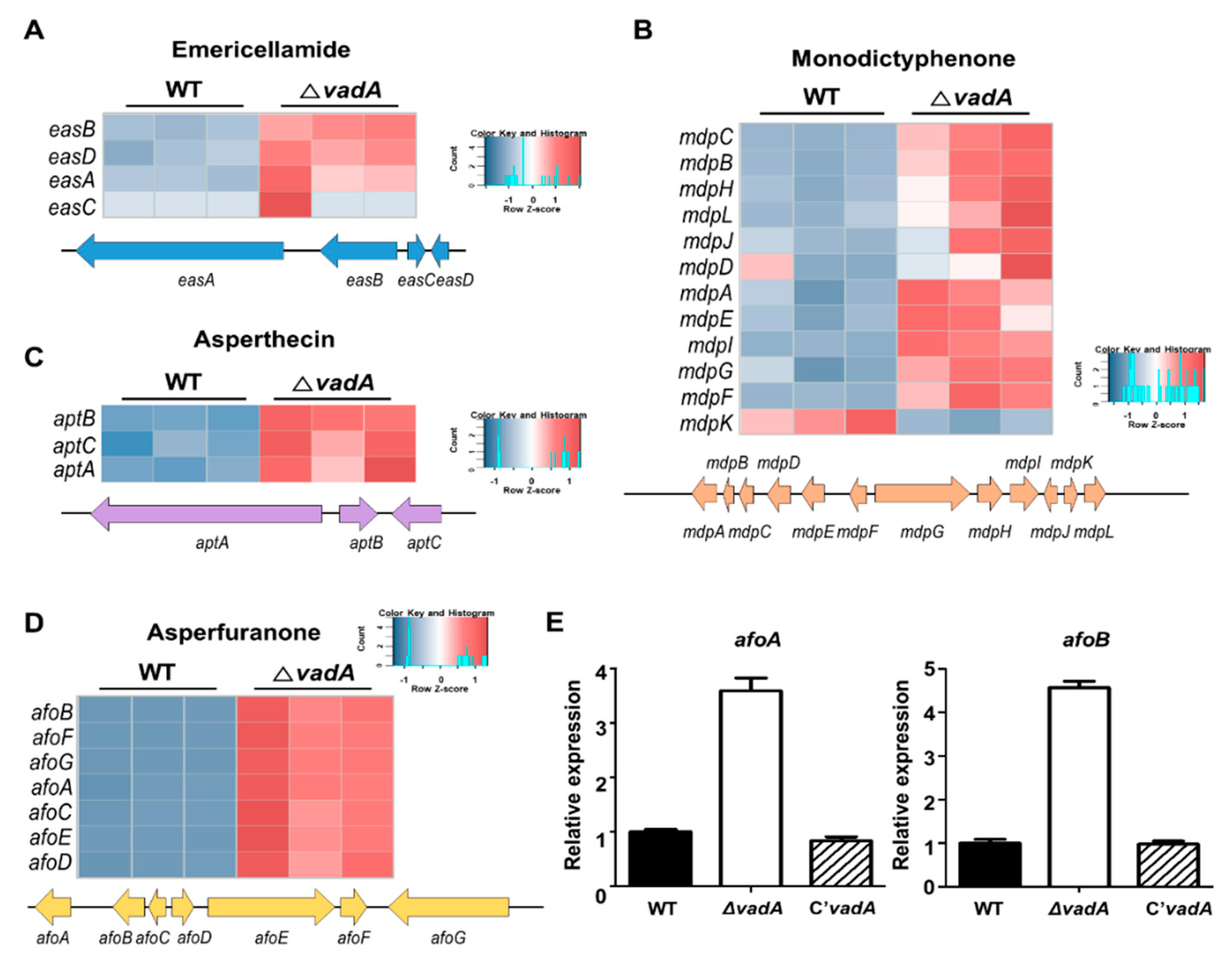 Microorganisms 08 01319 g006 Microorganisms 08 01319 g006