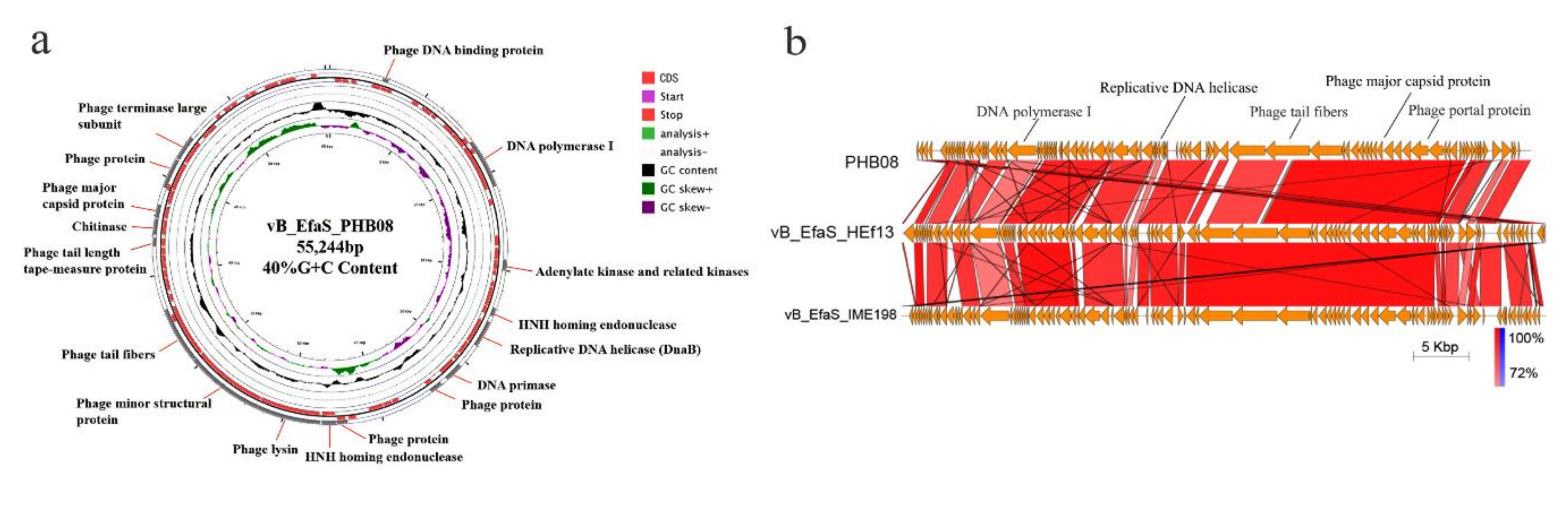 Microorganisms 08 01332 g002 Microorganisms 08 01332 g002