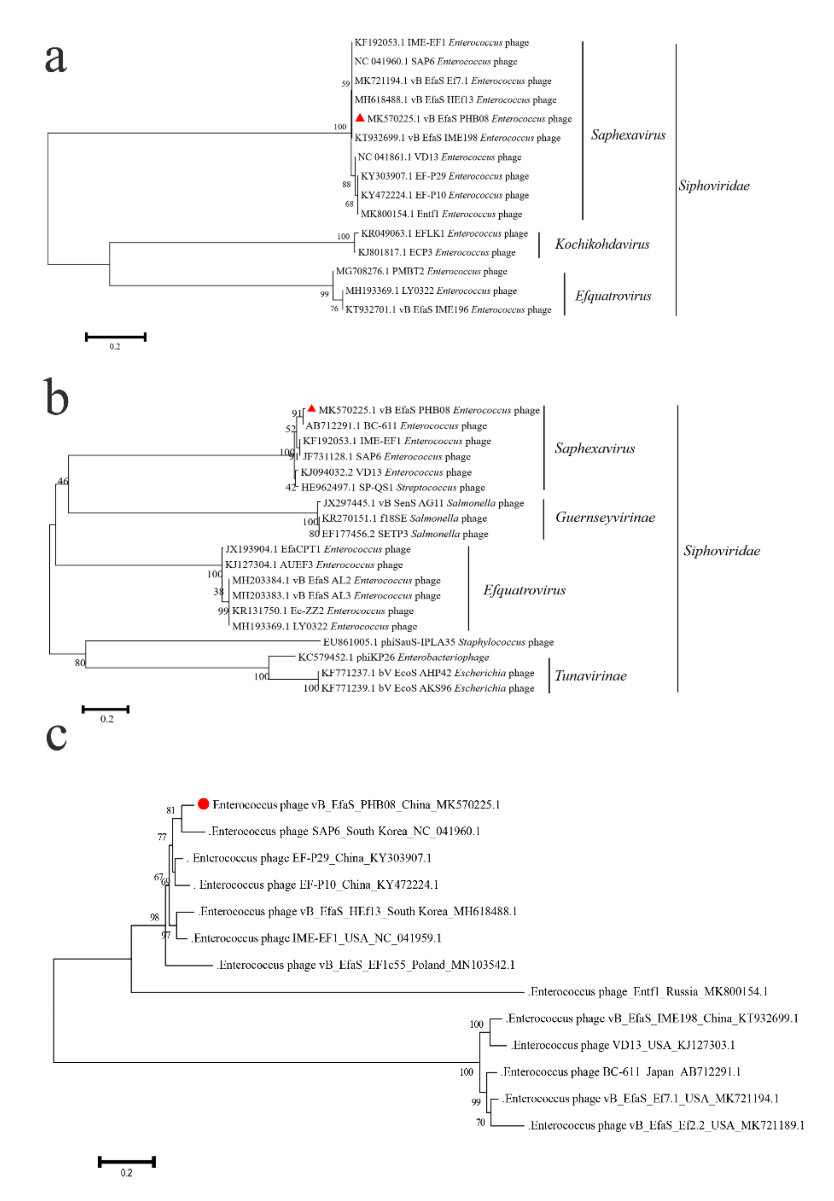 Microorganisms 08 01332 g003 Microorganisms 08 01332 g003