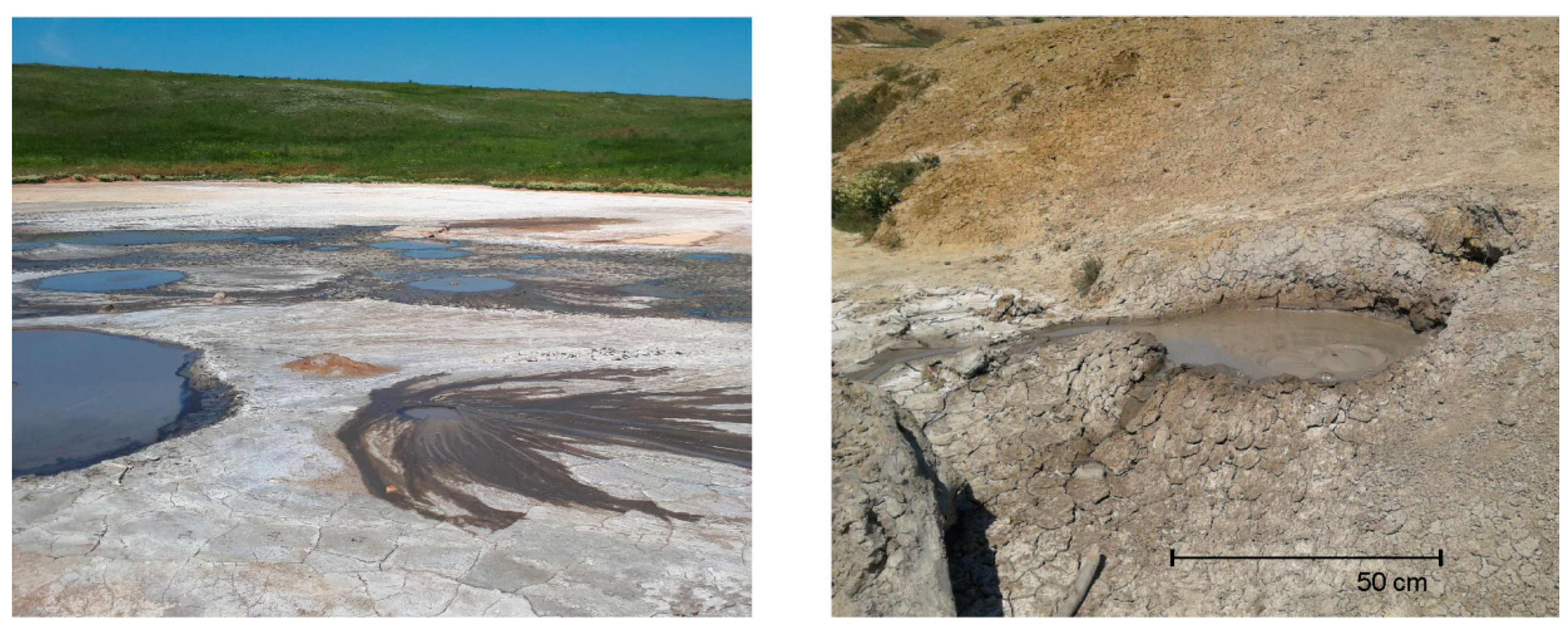 Microorganisms 08 01333 g001 Microorganisms 08 01333 g001