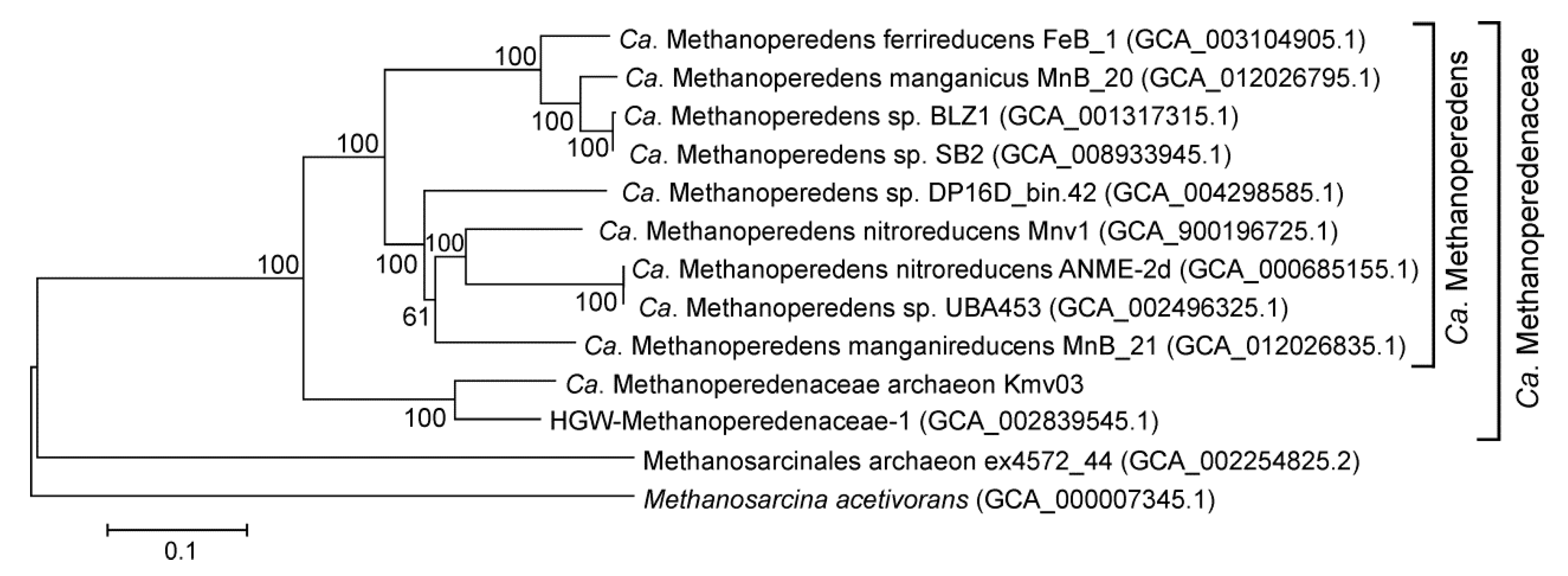 Microorganisms 08 01333 g003 Microorganisms 08 01333 g003