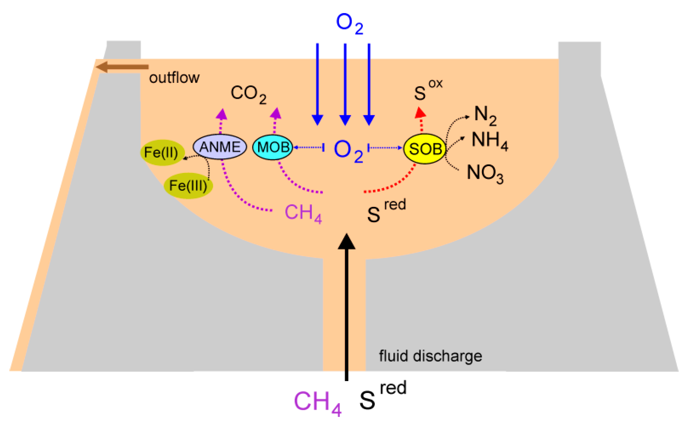 Microorganisms 08 01333 g004 Microorganisms 08 01333 g004