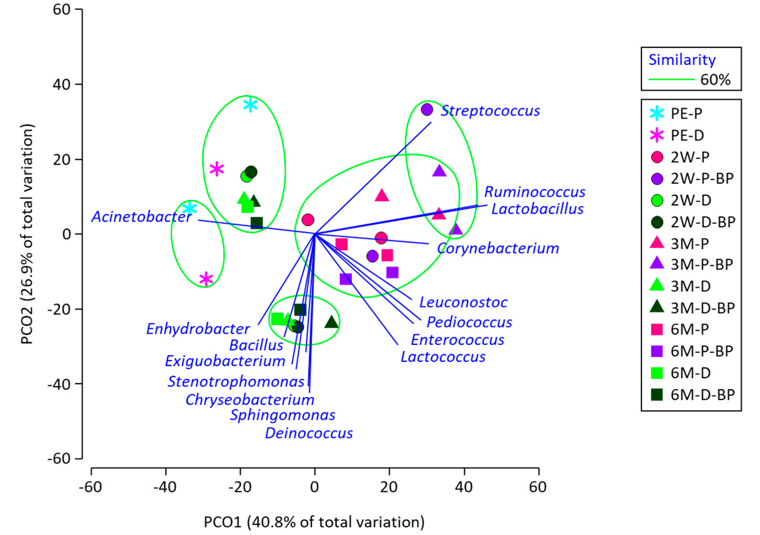 Microorganisms 08 01334 g002