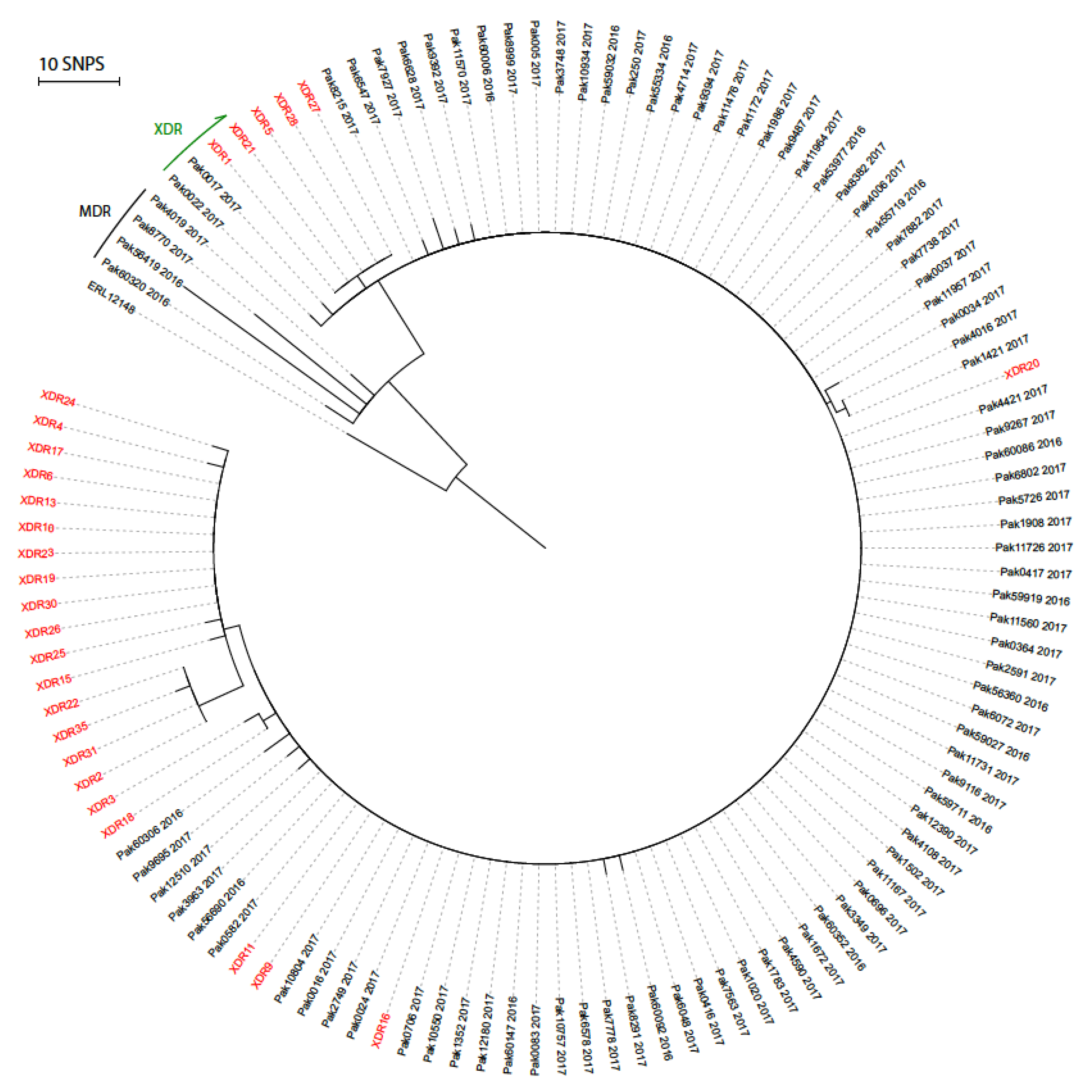 Microorganisms 08 01336 g001 Microorganisms 08 01336 g001
