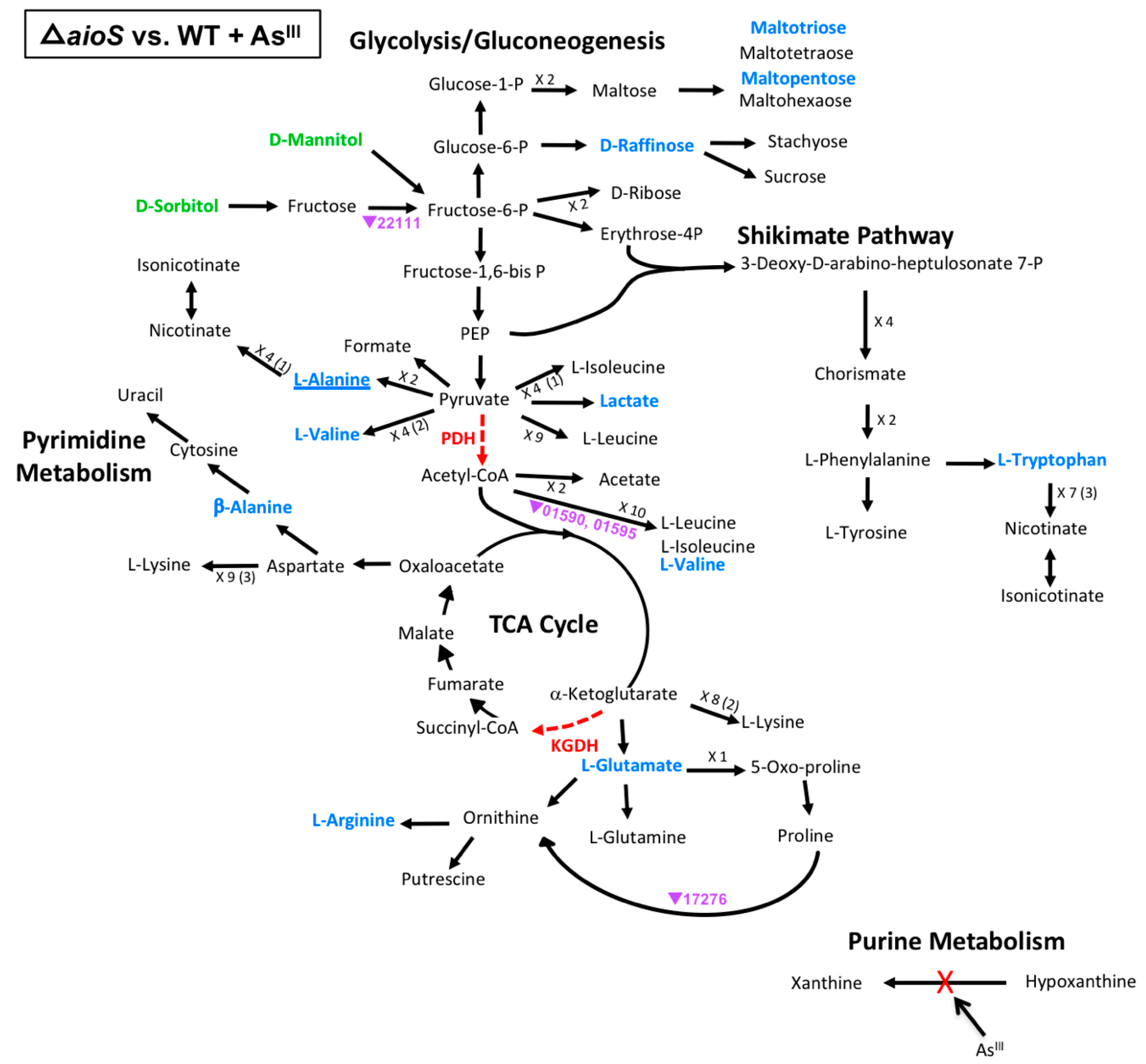 Microorganisms 08 01339 g004