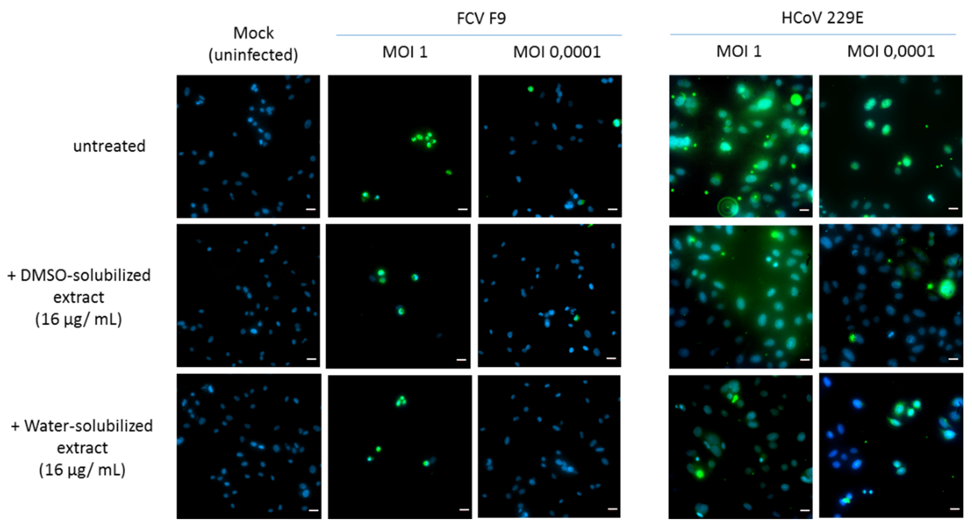 Microorganisms 08 01353 g005