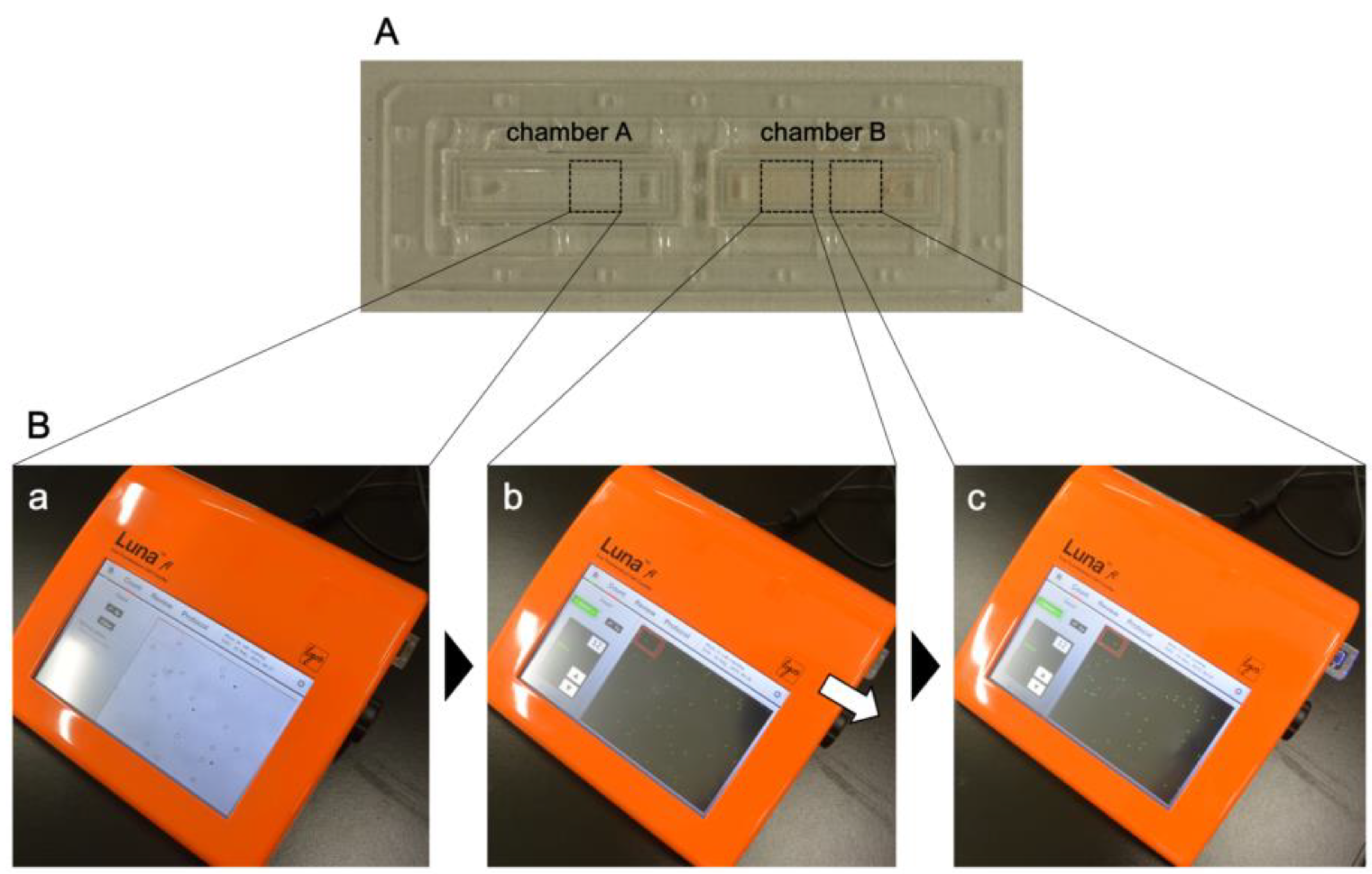 Microorganisms 08 01356 g001