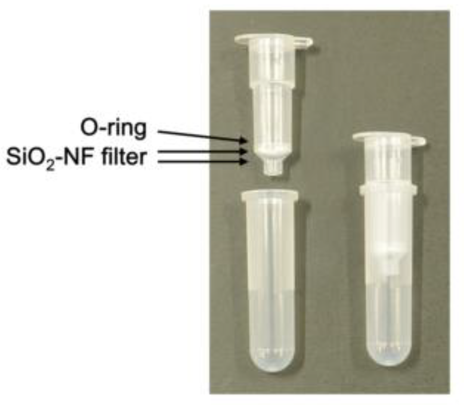 Microorganisms 08 01356 g002