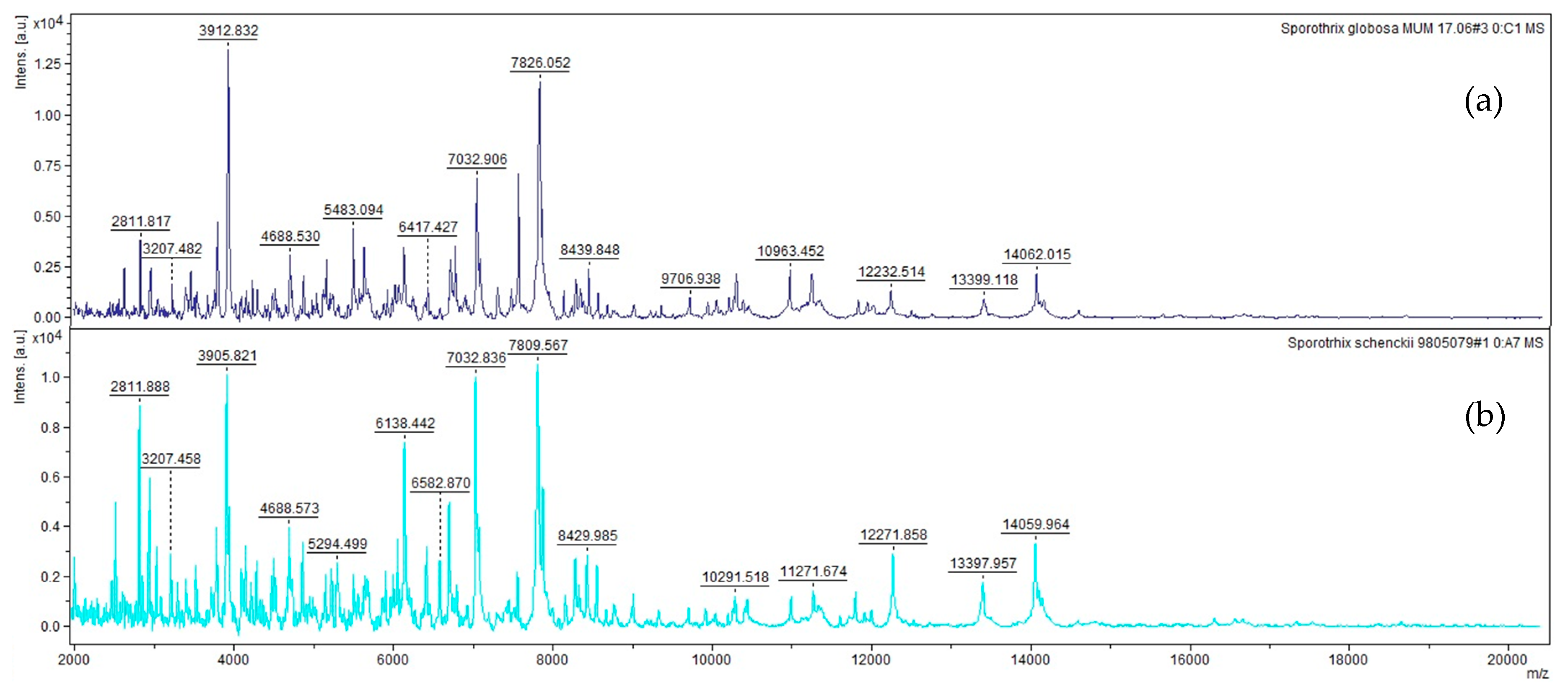 Microorganisms 08 01362 g001